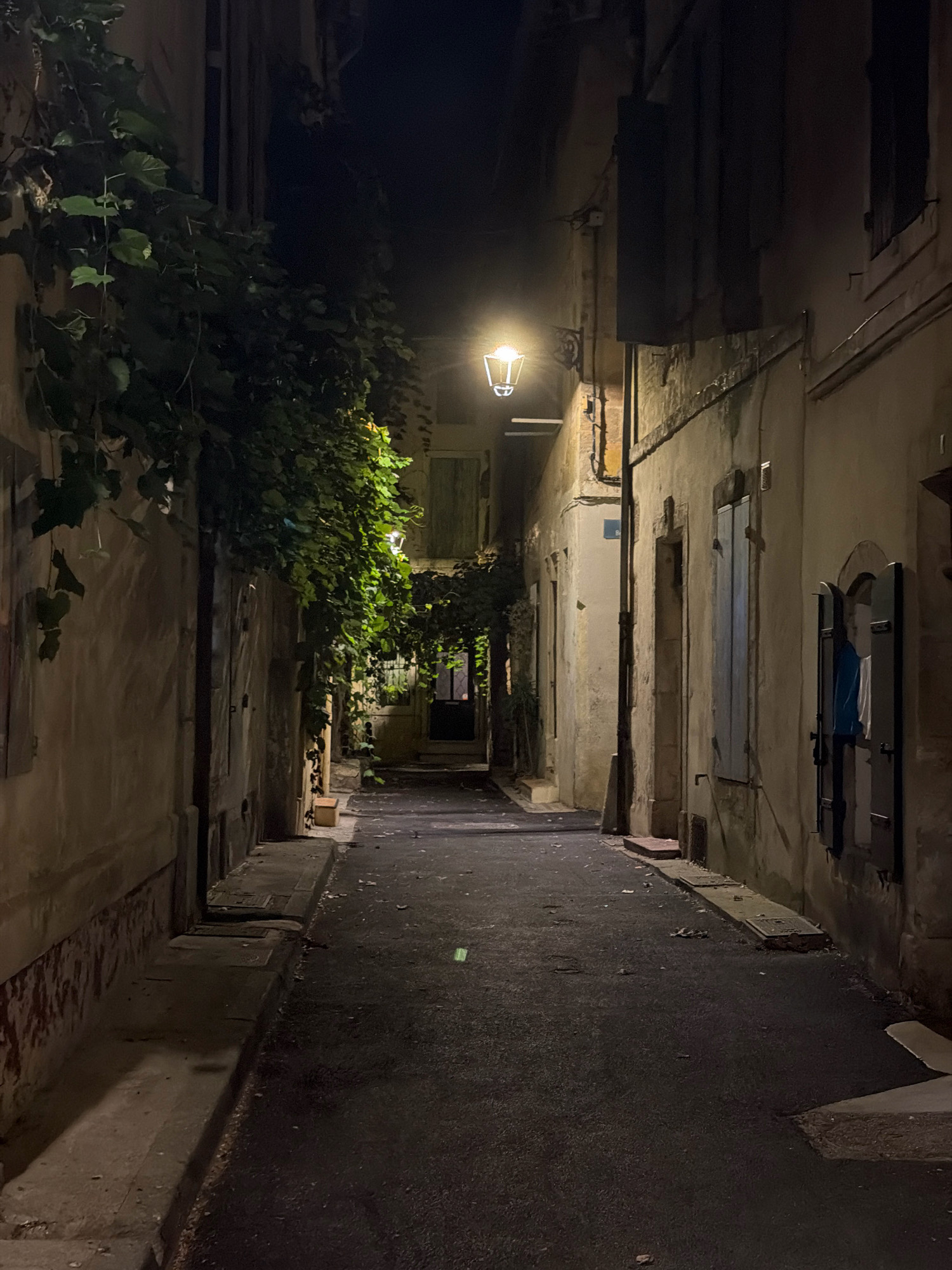 A narrow, cobblestone alleyway in Arles, France, is depicted at night. The scene is illuminated by a single streetlamp casting a warm glow on the weathered stone buildings that line the passageway. Lush green vines cascade down the walls of the buildings, adding a touch of nature to the urban environment. The alleyway appears to be deserted, with no people or vehicles in sight. The architecture suggests an old European city, consistent with the historical charm of Arles. The overall atmosphere is one of quiet solitude and timeless beauty.