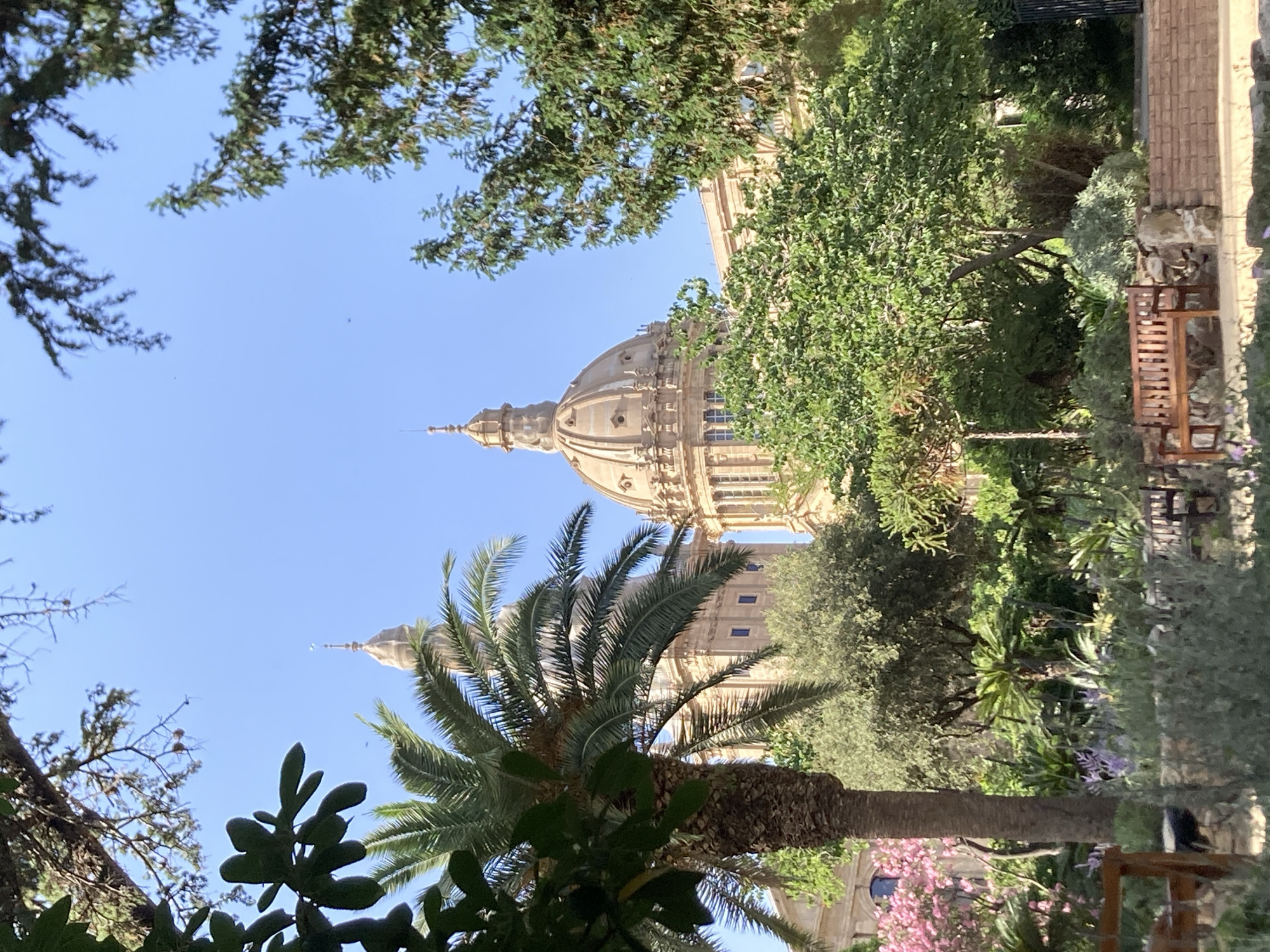 The image depicts a sunny day in Barcelona, Spain, likely at the Palau Nacional, a prominent landmark on Montjuïc hill. The foreground features a lush garden with a variety of plants, including a mature palm tree on the left, blooming pink flowers, and various shrubs and flowering plants. Two wooden benches are visible, suggesting a public space for relaxation. In the background, the imposing structure of the Palau Nacional rises, characterized by its grand domes and classical architecture. The sky is clear and blue, indicating good weather. The scene conveys a sense of tranquility and architectural beauty, typical of a well-maintained garden setting in a major city.