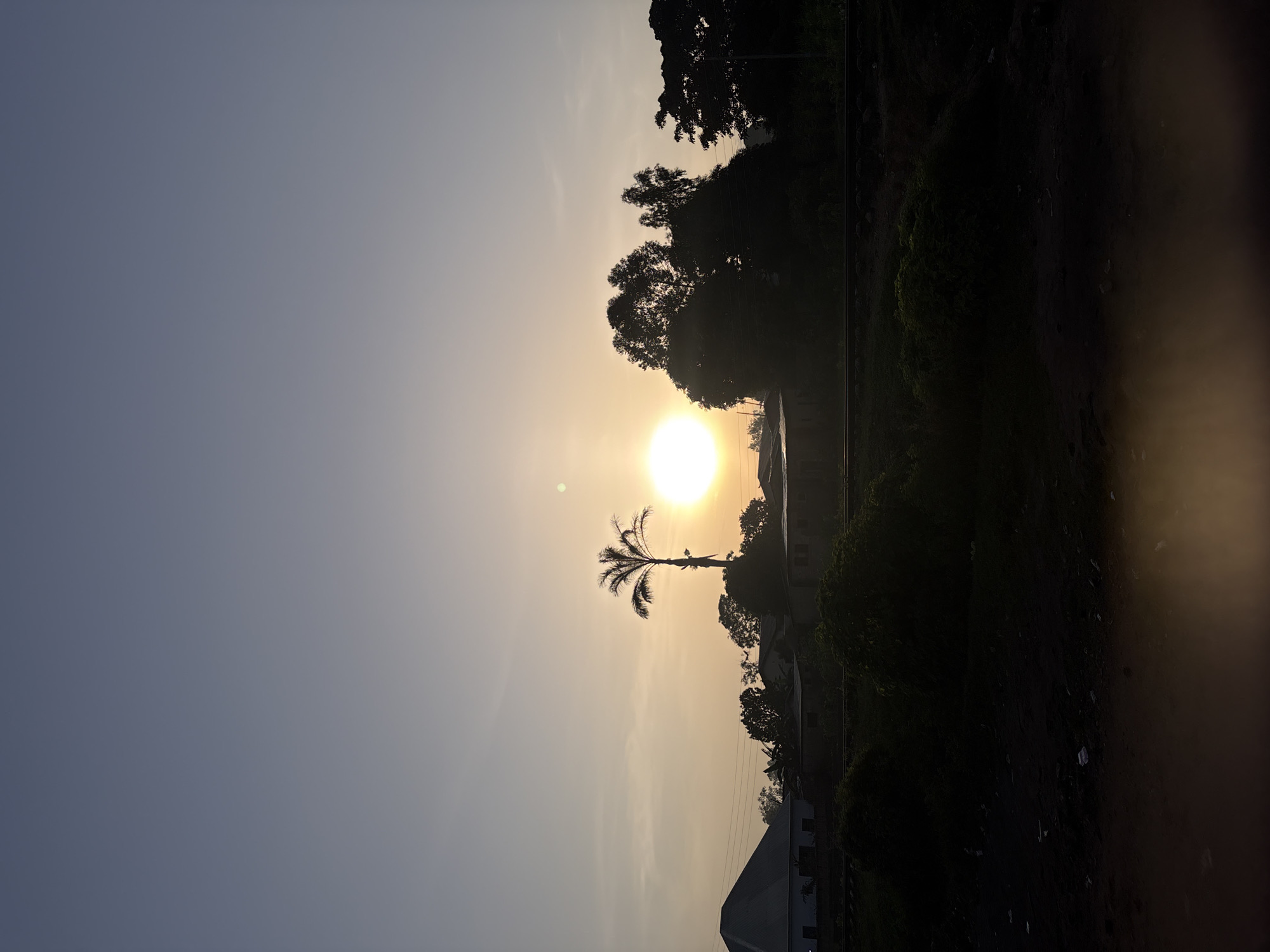 This vertical, full-shot image depicts a silhouetted landscape at dusk in Bukuru, Nigeria. The sky is a gradient of pale blue to a muted orange near the horizon, where a bright, large sun is partially obscured by trees. A solitary palm tree, also in silhouette, stands to the left of the sun. In the mid-ground, dark shapes suggest buildings, possibly homes or small structures, with a faint outline of a roofline on the far left. A railway track is faintly visible running horizontally across the frame, partially obscured by dark foliage in the foreground. The foreground itself is a dark, shadowy area with indistinct objects that appear to be debris or natural elements. The overall impression is a quiet, natural scene at the end of the day.