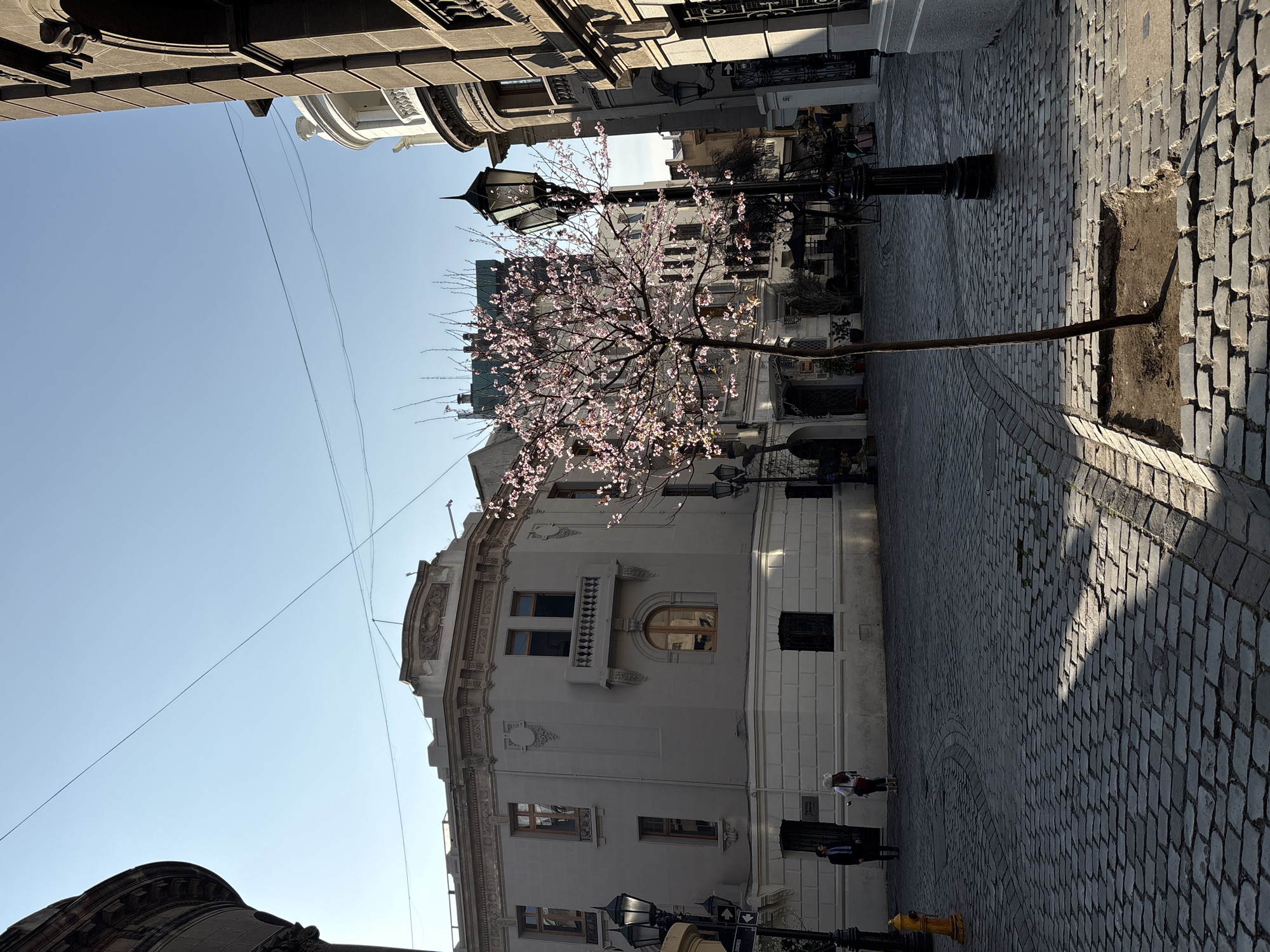 The image depicts a cobblestone street corner in a city, likely Santiago, Chile, given the architecture. A tree with delicate pink blossoms is centrally located, casting a shadow on the ground. To the left, a light-colored, multi-story building with arched windows and a balcony dominates the scene. Across the street, to the right, a darker, ornate building with arched entrances is visible. Two individuals, a man in a suit and a person in a lighter-colored outfit, are present on the sidewalk of the light-colored building. A yellow fire hydrant is positioned on the far left. The sky is clear and blue, suggesting a sunny day. Several street lamps with vintage designs are scattered throughout the image, adding to the old-world charm of the street. The cobblestone pavement is well-maintained and shows a distinct circular pattern in some areas.