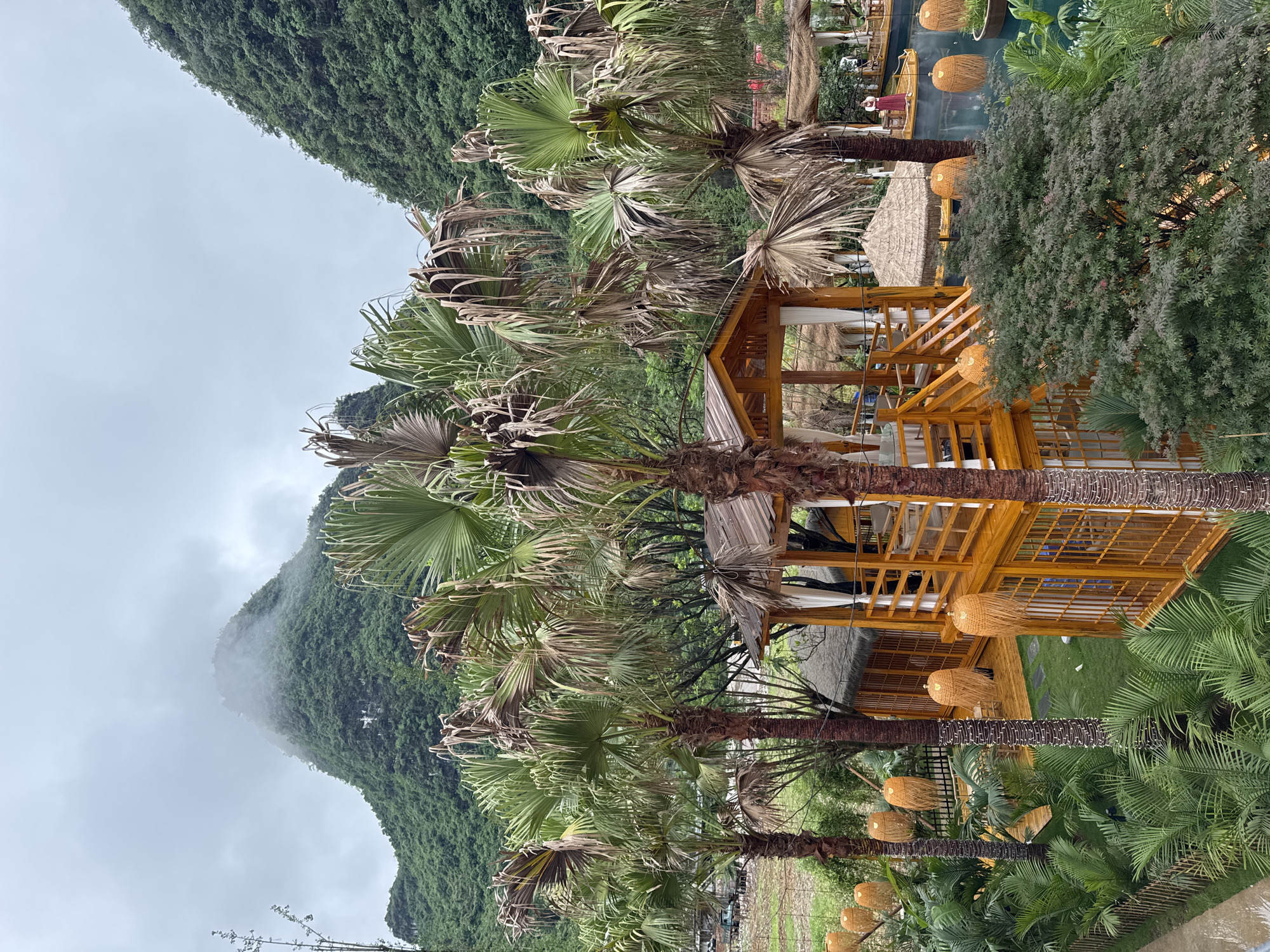 The image depicts a tropical scene in Guilin, China. The foreground features several tall palm trees with a mix of green and browning fronds. Woven light fixtures are wrapped around the trunks of the palm trees. A two-story wooden structure is nestled among the trees, with white curtains hanging from the upper level. In the background, a lush green mountain rises, partially obscured by clouds. A body of water with floating lanterns can be seen in the distance behind the structure. The sky is overcast.