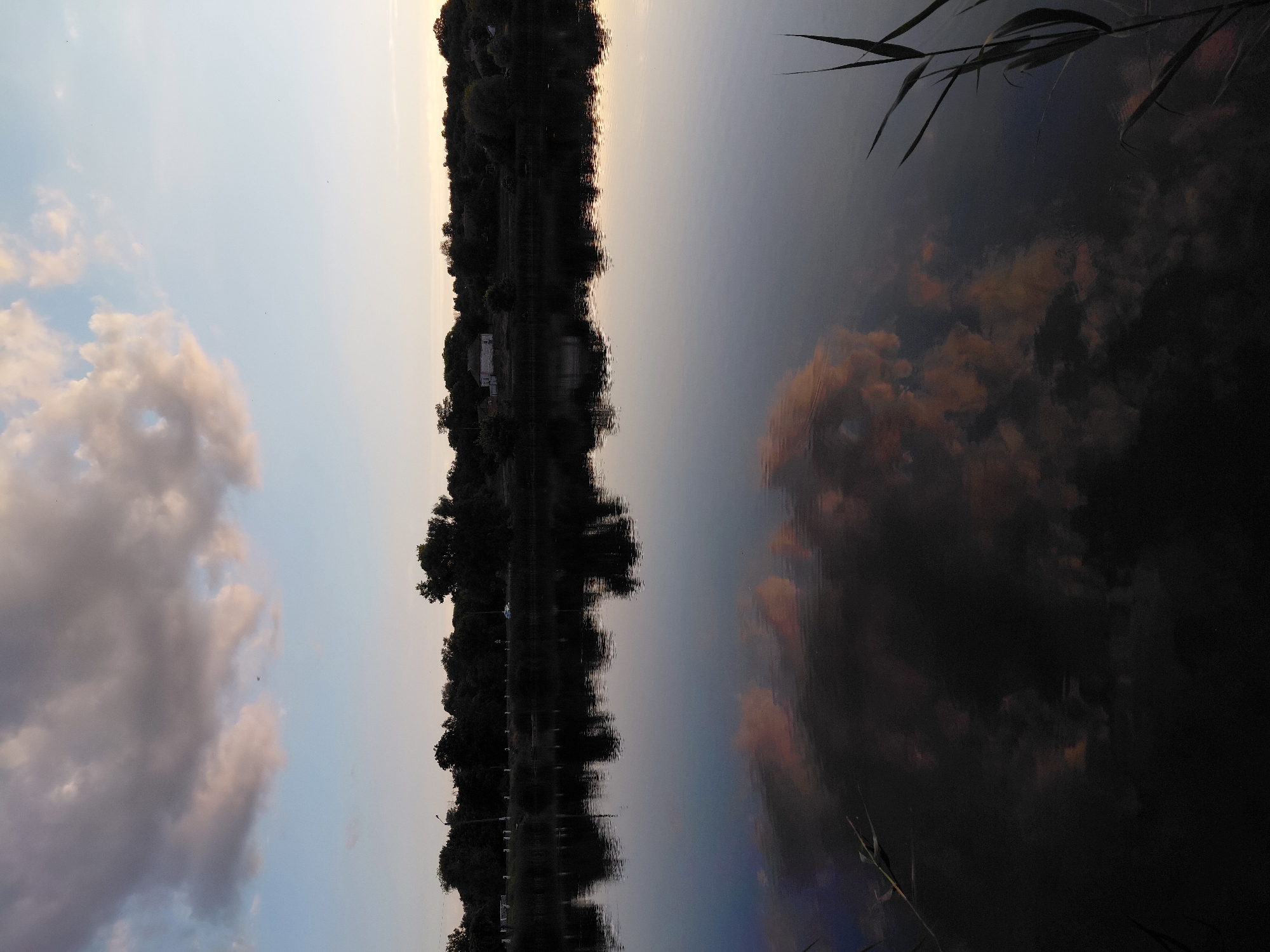 The image depicts a serene twilight or dawn landscape over a body of water in Ustyvytsia, Ukraine. The upper portion of the frame is dominated by a sky transitioning from a pale blue at the zenith to warmer, yellowish hues near the distant horizon on the right. A prominent formation of grey, cumulus-like clouds, with undersides illuminated by a soft pinkish-orange light, occupies the upper-left and central sky. A singular, small, dark, elongated object, likely an aircraft, is faintly visible against the lighter sky in the upper-left, and several minute dark specks, probably birds, are scattered across the sky.
Below the sky, a distant shoreline or bank is delineated by a dense, dark silhouette of trees and foliage stretching across the horizon. On the left, a light pole and a white guardrail or fence suggest a road or path running behind the trees. A small, light-colored building, possibly a house, with a darker roof, is discernable amidst the trees in the mid-ground, slightly to the right of center. A faint, white, horizontally oriented object, possibly a vehicle, is visible on the road to the left of the house.
The lower two-thirds of the image consist of a calm water surface, functioning as a mirror. The water perfectly reflects the sky and the distant landscape. The grey and pinkish-orange clouds are duplicated in the reflection, appearing slightly darker and more saturated. The silhouettes of the trees and the distant building, along with the light pole and potential vehicle, are also clearly reflected in the water. The water itself takes on the dark, reflective tones of the evening or morning light, subtly echoing the colors of the sky and clouds. In the bottom-right corner, several dark, slender blades of reeds or grass emerge from the water's edge, partially extending into the frame. No individuals are visible.