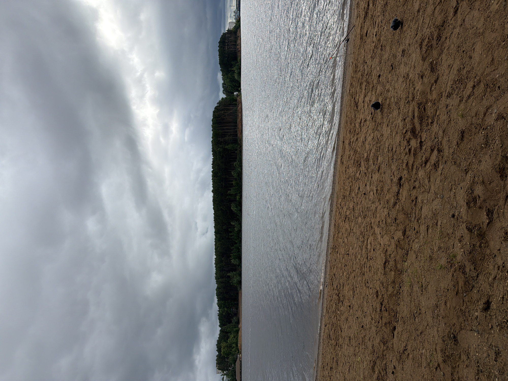 The scene depicts a shoreline in Chaikovsky, Russia, under a completely overcast sky filled with various shades of grey clouds. A broad body of water, characterized by its dark grey color and subtle ripples, occupies the middle ground. In the immediate foreground, a sandy beach extends, presenting a mix of brown and orange tones with scattered small pebbles and sparse patches of green vegetation. Two dark-feathered birds are visible on the sand in the lower right quadrant of the image. Adjacent to these birds, two fishing rods with red and white floats are positioned on the sand, angled towards the water. Across the water, a dense, dark green forest of coniferous trees forms a distinct horizon line. To the far left, partially obscured by the trees, a light-colored structure, possibly a building or a pier, is visible. In the far distance on the right, beyond a gap in the treeline, faint industrial structures can be discerned. No people are visible.