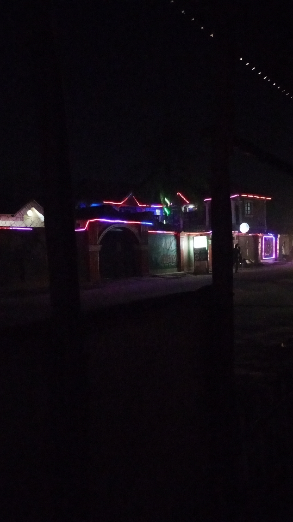 The image displays a nighttime scene in Sabon Tasha, Nigeria, showcasing a building or complex illuminated with a variety of colorful lights. The foreground is very dark, partially obscured by two prominent vertical dark shapes, likely posts or tree trunks, which frame the central view.
The main subject is a two-story structure with a distinctive, multi-tiered roofline, outlined with bright blue and pink/red neon or LED lights. A large arched gateway forms a central feature of the building's facade, also adorned with similar lighting. Green lights are visible on the upper level of the building, possibly highlighting foliage or architectural details. To the far left, a wall extends, decorated with white lights. On the right side of the main building, a bright rectangular white light is present, which could be a sign or a brightly lit window. Further to the right, another structure features a distinct magenta-colored rectangular light.
The scene is static, with no discernible human activity. The time of day is clearly night, indicated by the overall darkness and the reliance on artificial illumination. The sky above is dark, with a few faint white specks visible in the upper right corner, possibly distant lights or reflections. No clear text is visible on any signs or structures. The vibrant and extensive use of decorative lights suggests either a festive occasion or a commercial establishment like a guesthouse, restaurant, or entertainment venue.