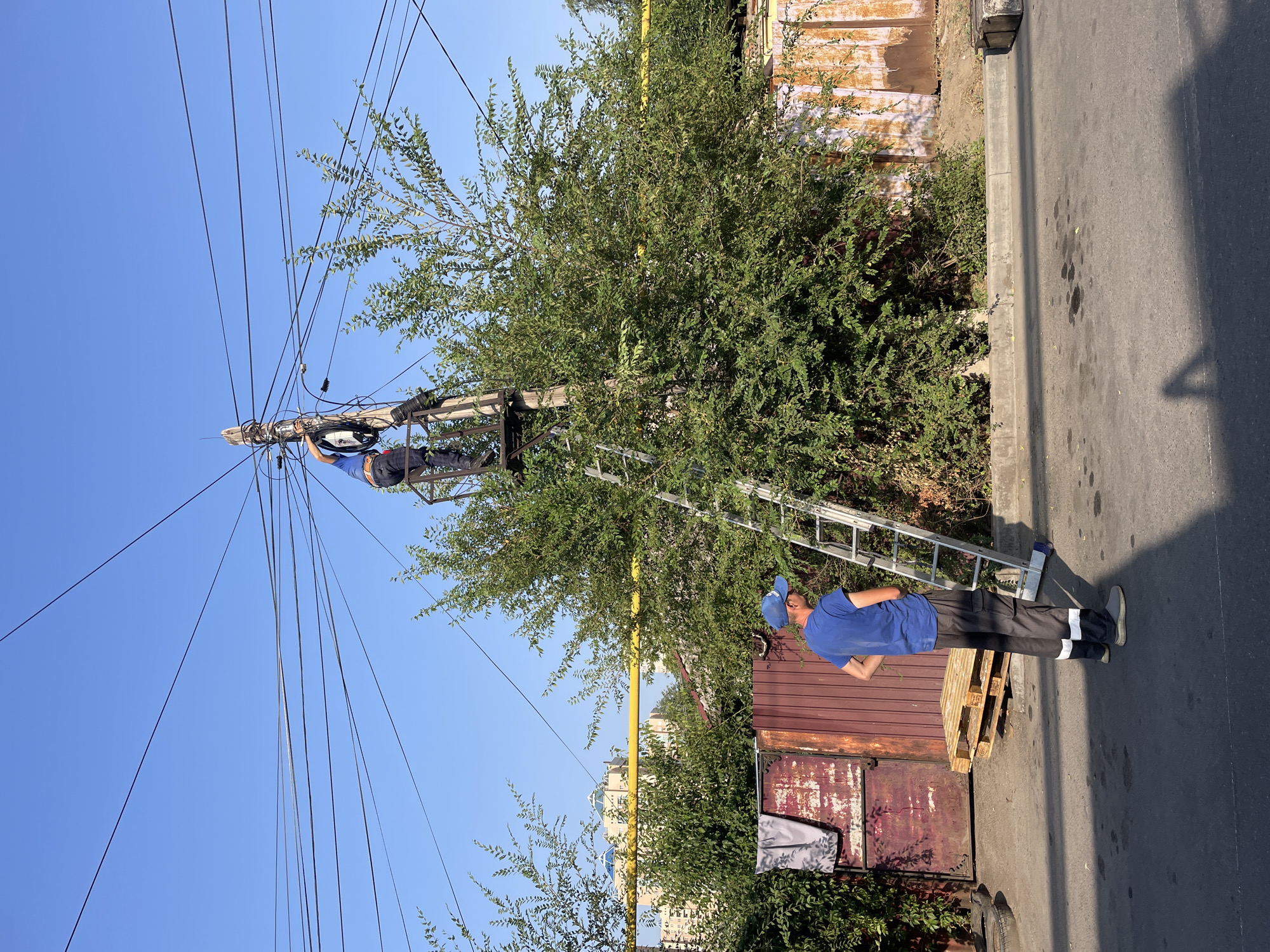 In Almaty, Kazakhstan, a scene unfolds on a sunny day with a clear blue sky. A utility pole, laden with numerous dark electrical wires, stands prominently. Two individuals are engaged in work related to these wires. One person, wearing dark trousers and an orange garment, is positioned precariously on a metal platform attached to the pole, actively manipulating the wires. Below, on the ground, a second person in a blue shirt and dark trousers with reflective bands stands by a tall, silver ladder that leans against the pole, presumably ready to assist or waiting for instructions. The surrounding environment is characterized by lush green trees and foliage, with a portion of a rusty corrugated metal fence and a wooden pallet visible in the foreground. In the background, the distinctive architectural style of buildings suggests an urban setting, and a yellow pipe, possibly a gas line, is visible running horizontally. The ground is paved asphalt, with some oil stains present, indicating it is a street or thoroughfare. The overall impression is one of active infrastructure maintenance in an urban residential area.