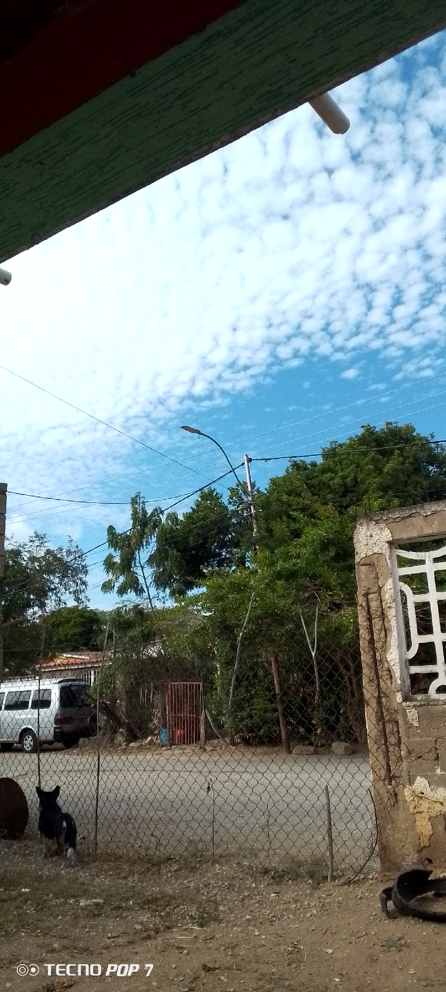 View from a shaded area towards a street in Altagracia, Venezuela. The sky is blue with scattered white clouds. Utility poles with wires are visible. A black and white dog stands in the yard behind a chain-link fence. A white van is parked across the street. Vegetation and a red metal gate are seen behind the fence. Part of a building is visible on the right. The ground is dirt and grass.