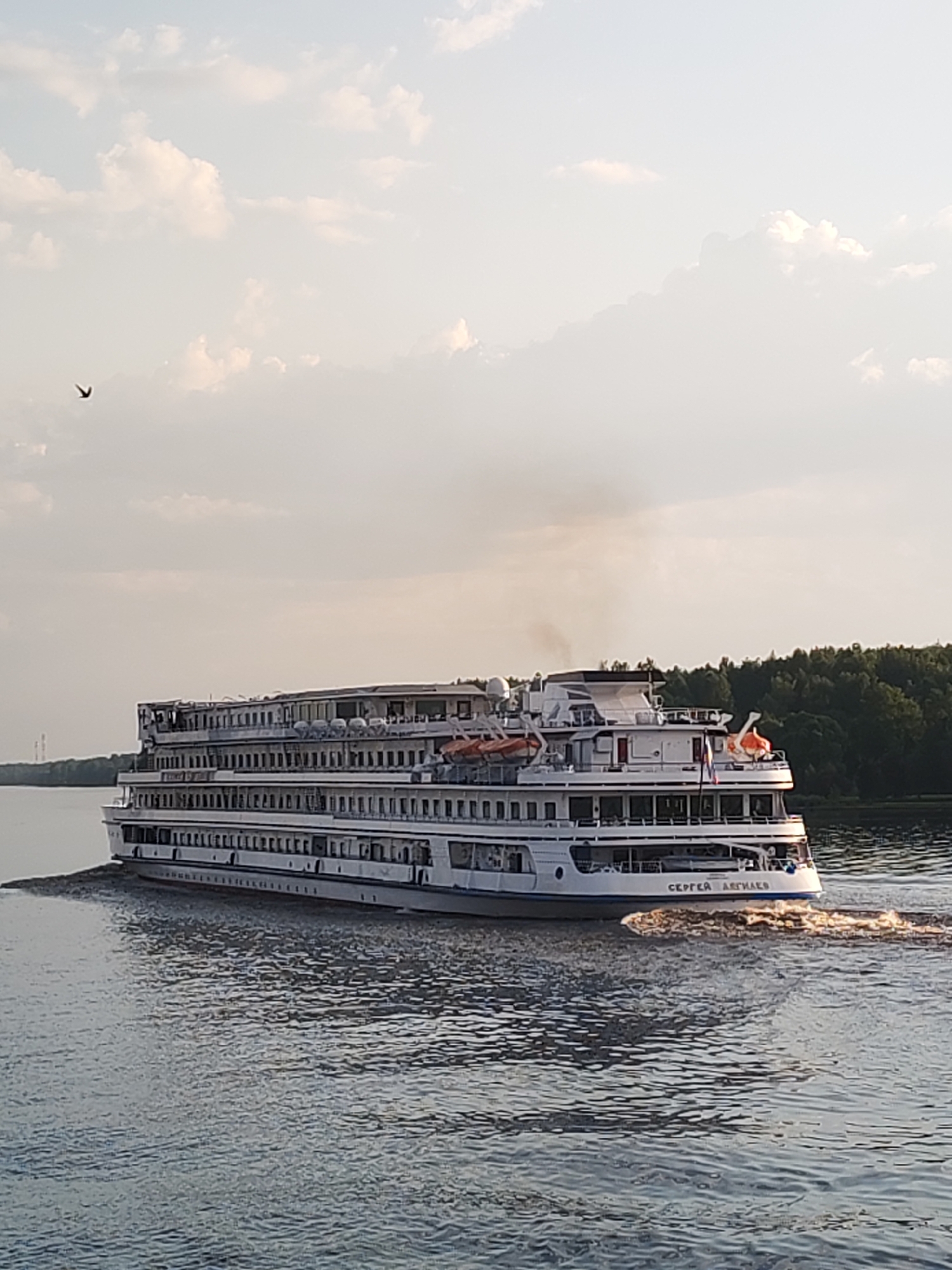 The image depicts the cruise ship "Sergey Agapov" sailing on a river in Novye Shatrishchi, Russia. The ship is white with multiple decks, and there is a small Russian flag visible on the stern. The surrounding environment includes water, trees, and a partially cloudy sky. A bird is flying in the upper left corner of the image.