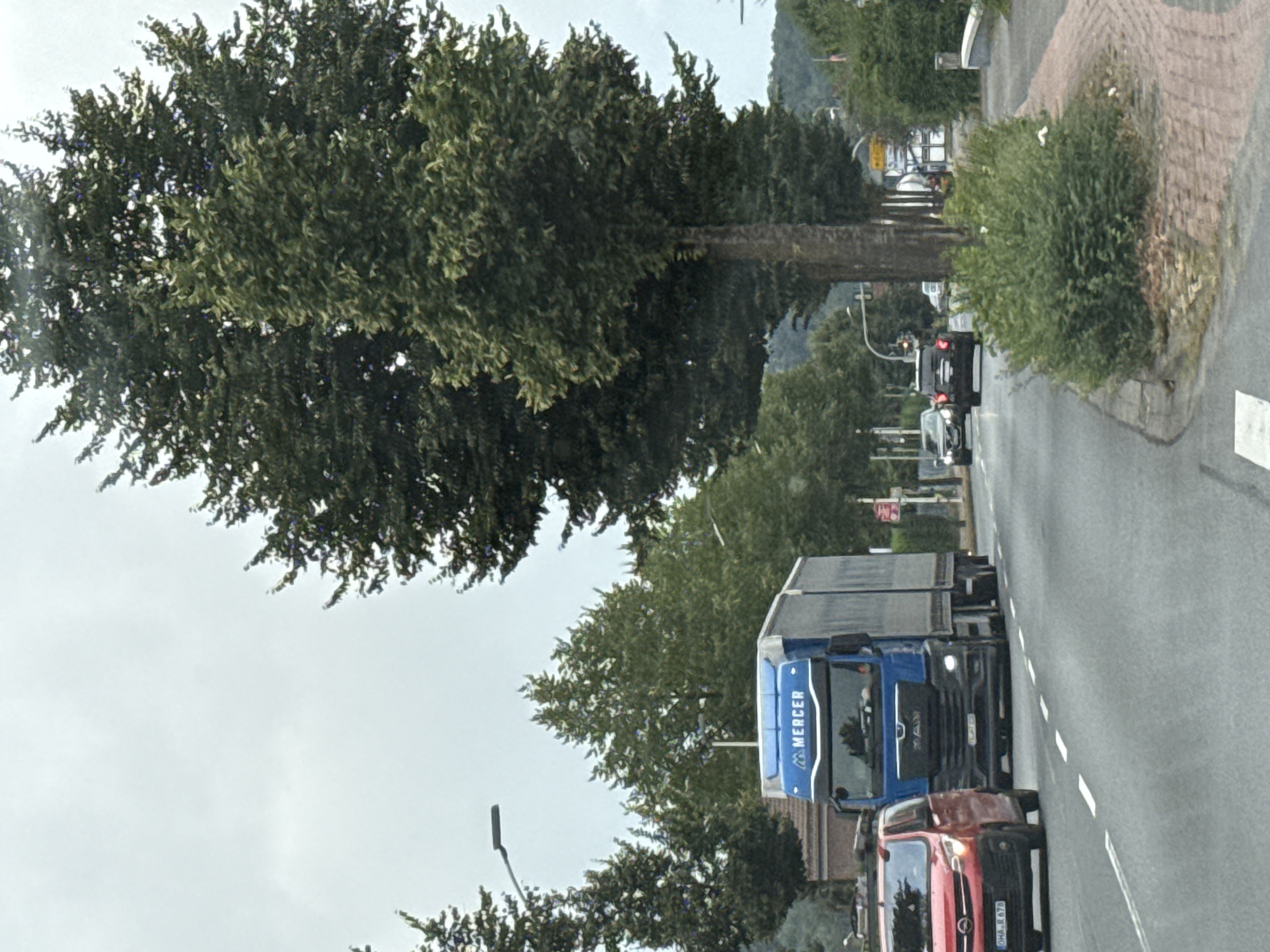 The image shows a street scene in the city of Bad Lauterberg im Harz, Germany. A blue Mercer truck is driving on the road, passing a red car. The truck has the Mercer logo on the front. There are trees lining the street, and the sky is overcast. In the background, there are buildings and a hill with trees. A traffic light is visible. The road has lane markings.