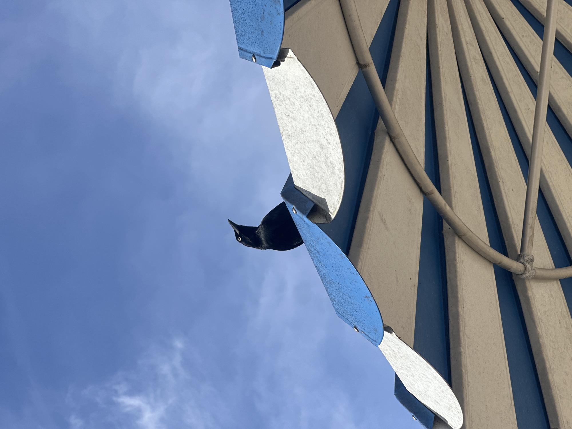 A low-angle shot of a black bird perched on a wind spinner in Le Gosier, France. The wind spinner has alternating white and blue-painted blades. The structure behind the spinner is marked with vertical stripes of blue and white. A blue sky with white clouds fills the rest of the frame.