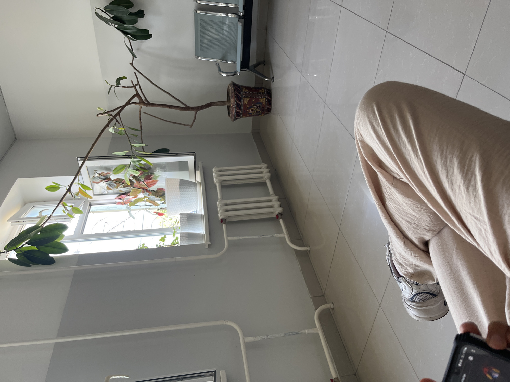 A person's legs, clad in light-colored trousers, are in the foreground of the image, resting on a tiled floor. A smartphone is held in the person's left hand. The background reveals a waiting room with white tiled flooring and pale gray walls. A large window with multiple panes allows natural light to enter, illuminating several potted plants on the windowsill. To the right of the window, a tall, bare-branched tree in a decorative pot stands. Further to the right, two benches with metal frames and light blue seats are visible. A white radiator runs along the wall beneath the window, with visible pipes connecting to it. The setting appears to be a public indoor space, possibly a clinic or office, in Batken City, Kyrgyzstan.