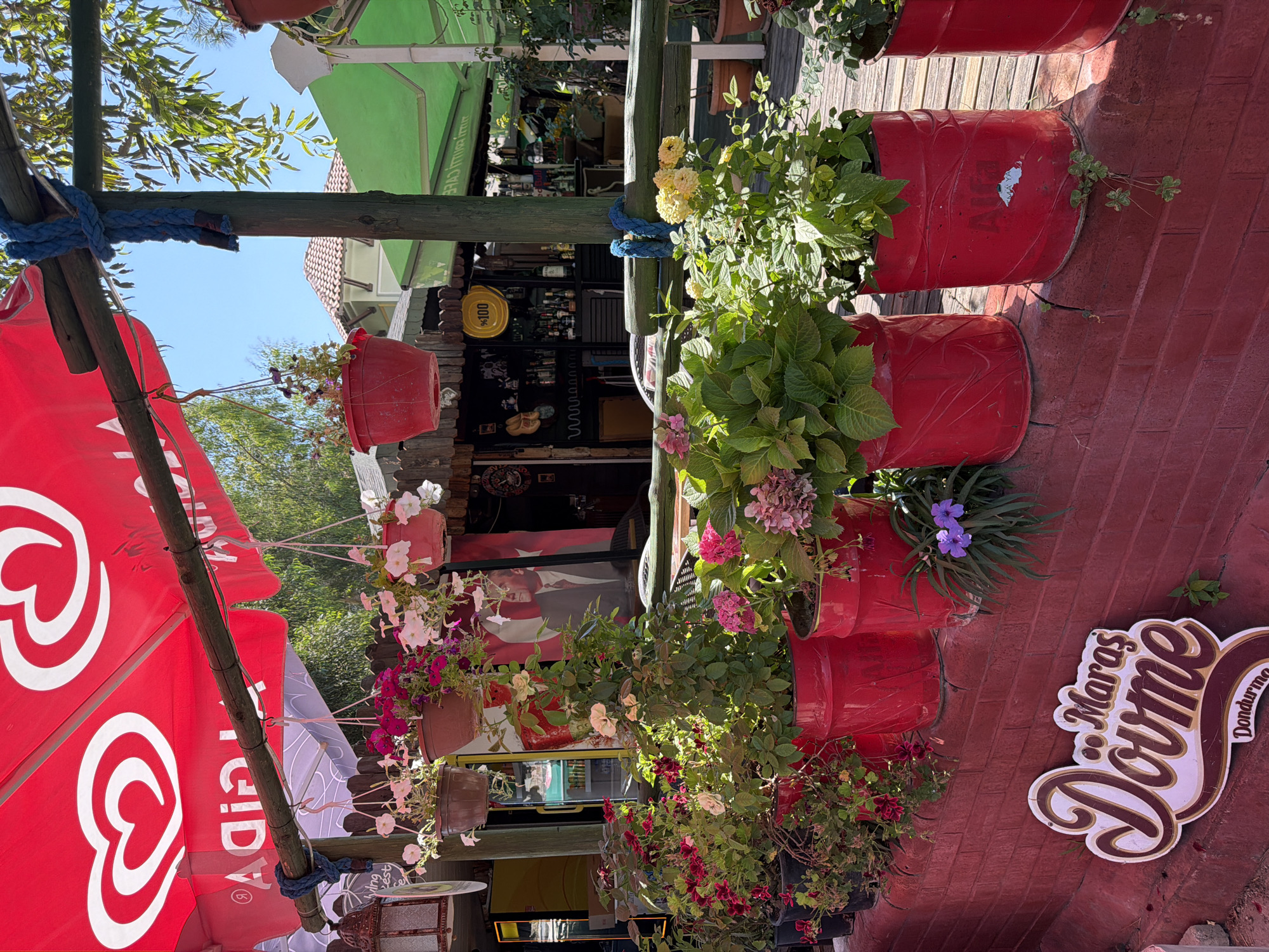 The image depicts an outdoor seating area of a cafe in Kemer, Turkey. A bright red umbrella with white logos is visible overhead, providing shade. Several potted plants, including roses and hydrangeas, are arranged on a red brick ledge. The plants are in large red cylindrical containers. In the background, a bar area is visible with shelves stocked with bottles. A portrait of a man in a suit, likely a national figure, hangs on the wall behind the bar. The flooring appears to be wooden planks. The overall impression is a vibrant, outdoor cafe environment.