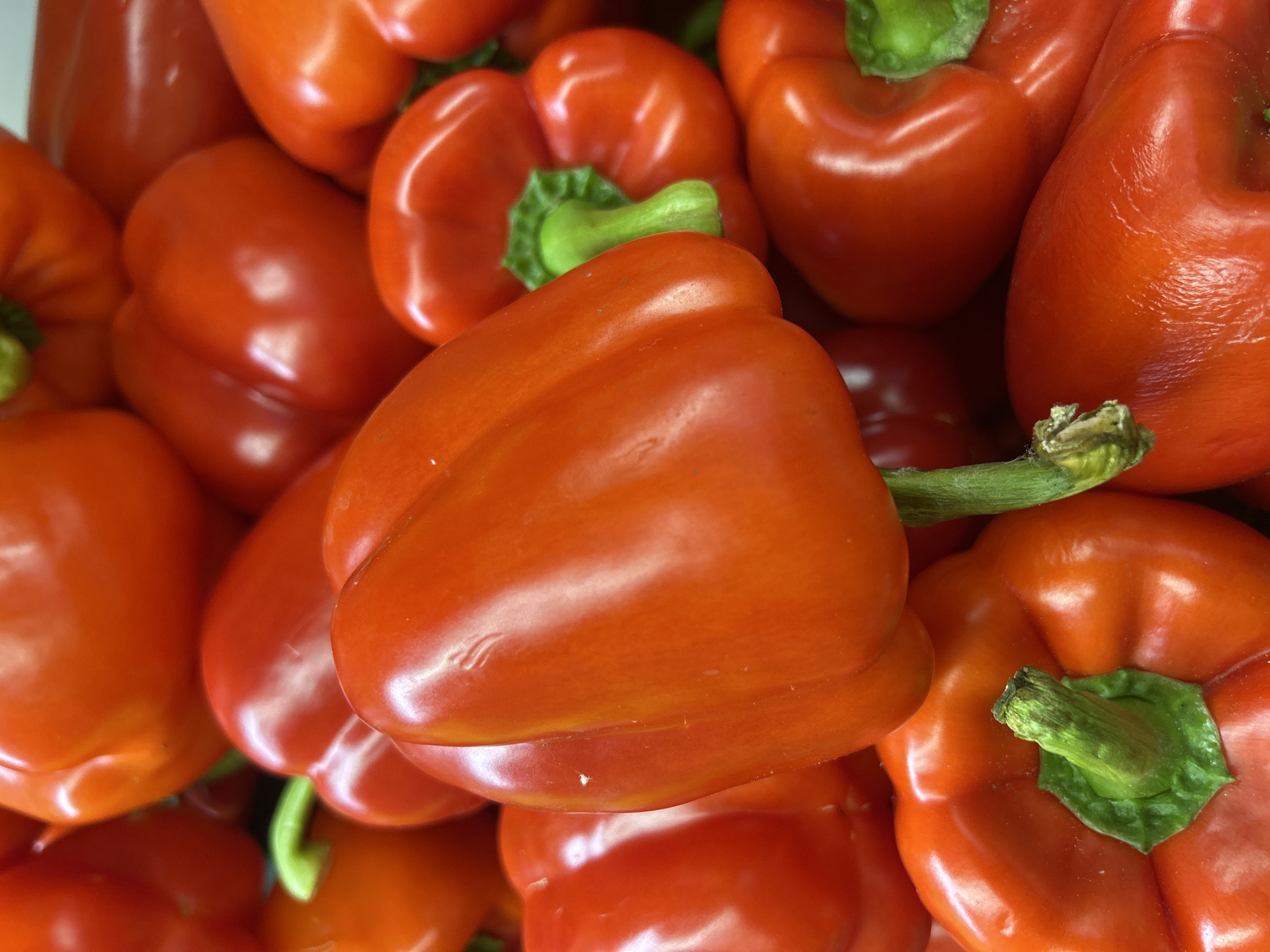 The image displays a close-up, overhead view of a pile of vibrant red bell peppers. The peppers are ripe and have a glossy sheen, with some showing slight imperfections. The stems are green and appear fresh. The lighting suggests an indoor setting, likely a market or grocery store, but no specific location within Bila Tserkva, Ukraine, can be determined from the image. There are no people or actions visible in the image; it solely focuses on the arrangement of the peppers.