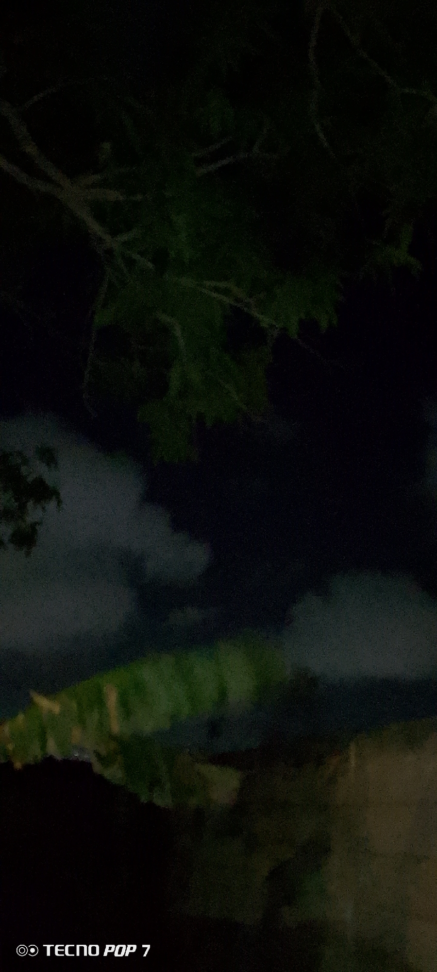 The image, taken with a TECNO POP 7 phone, shows a dark outdoor scene. A tree branch with leaves is visible at the top of the frame. There are also clouds in the sky. There is some foliage visible in the bottom center of the frame. The location is presumed to be Altagracia, Venezuela.