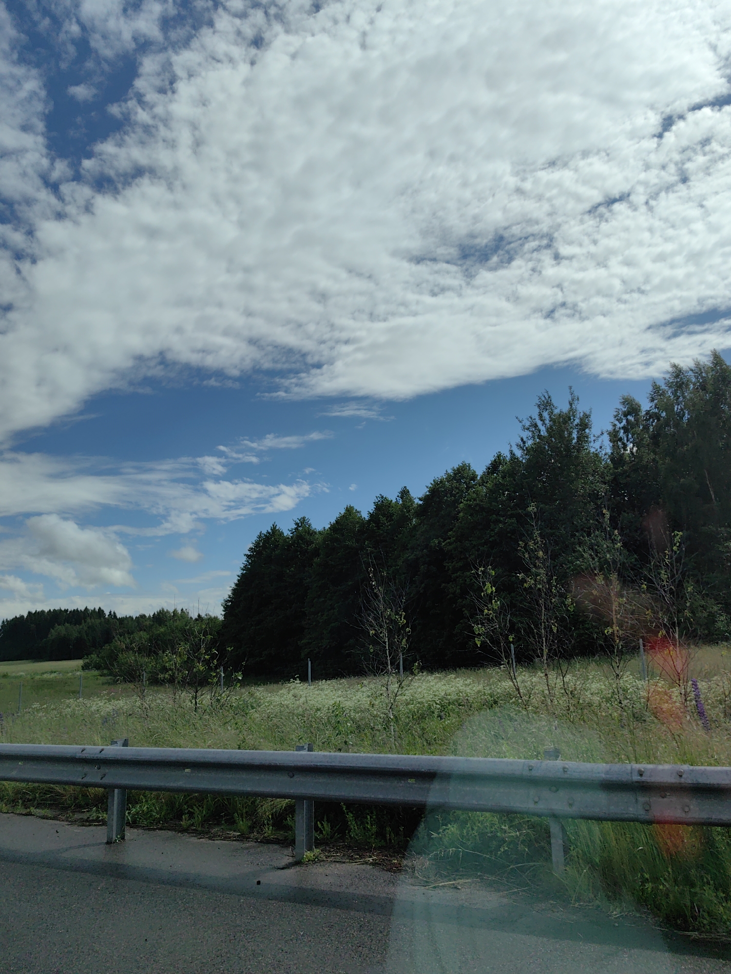 The image depicts a roadside scene with a metal guardrail in the foreground, bordering a paved surface that appears to be a road. Beyond the guardrail, a lush green field is visible, dotted with white wildflowers and interspersed with scattered trees and bushes. In the background, a dense forest of dark green trees stretches across the horizon, forming a natural boundary. Above the trees, a bright blue sky is filled with scattered white clouds. The overall impression is a serene, natural landscape, likely located in a rural area. The scene is void of any people or animals. The lighting suggests it is daytime, possibly late morning or early afternoon, given the clear sky and the absence of harsh shadows. The reflection on the road surface indicates it may have recently rained. The metadata suggests the location is Путчынскі сельскі Савет, Belarus.