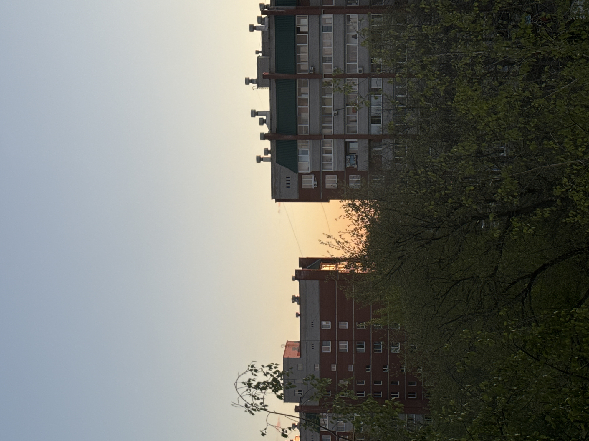 The image shows two high-rise residential buildings in Chaikovsky, Russia. The buildings are typical Soviet-era apartment blocks. A large tree is in the foreground, partially obscuring the buildings. The sky is a pale blue, indicating either sunrise or sunset. The lighting suggests it is either early morning or late evening.