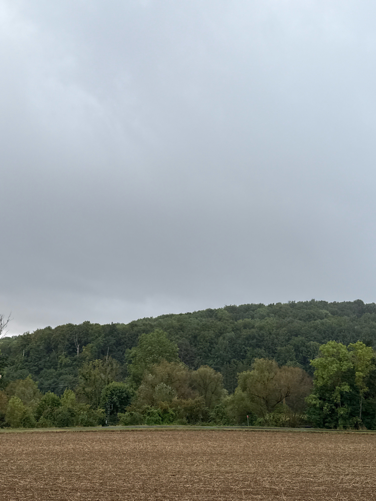 The image depicts a landscape scene on an overcast day. In the foreground, a field of tilled earth is visible, with a textured surface of brown soil. Beyond the field, a dense line of trees forms a natural border, with varying shades of green indicating different types of foliage. Behind the trees, a hillside covered in lush forest rises up, its contours softened by the distance and the diffused light. The sky above is a uniform, muted gray, characteristic of cloudy or pre-storm weather. The overall impression is one of a rural or natural setting, possibly on the outskirts of a town or city, given the mention of Walkenried, Germany. There are no people or discernible actions taking place in the image. The scene is still and quiet, dominated by the natural elements of earth, trees, and sky.
