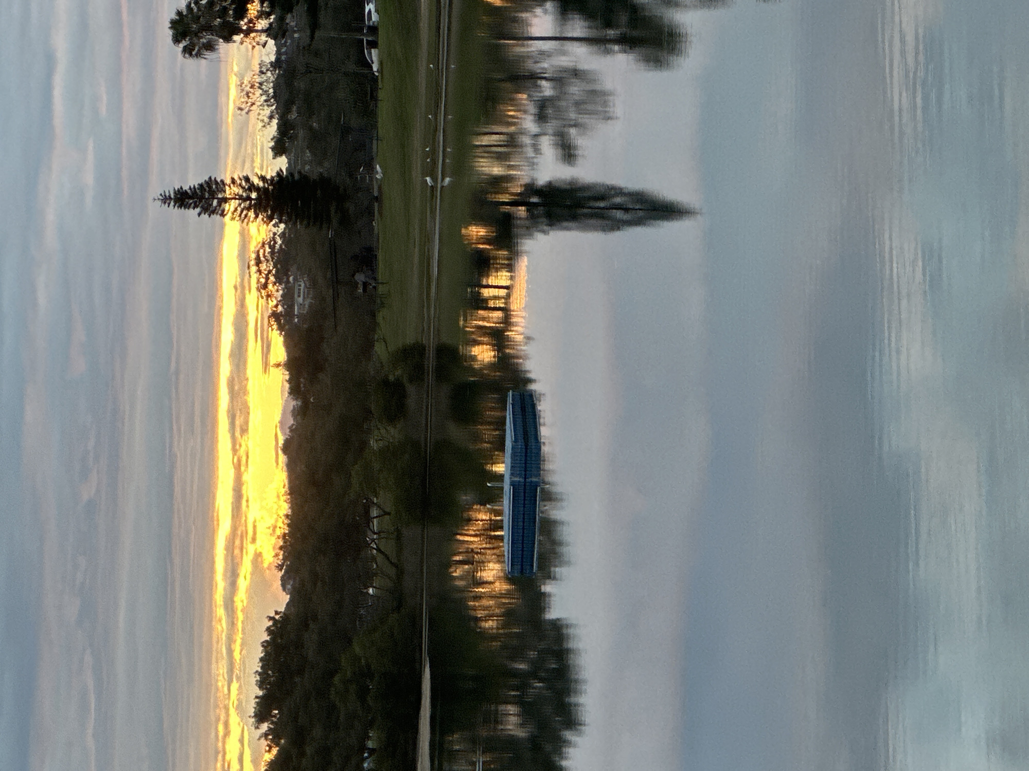 The image captures a serene lake at dusk in Nambucca Heads, Australia. The sky is a canvas of soft grey clouds interspersed with vibrant streaks of yellow and orange from the setting sun, casting a warm glow. On the far bank, a dense line of dark green trees forms a natural border, with a few scattered houses and a tall, slender pine tree silhouetted against the colorful sky. A broader palm tree stands to the right. The lake's surface is remarkably still, mirroring the sky and the trees with an almost perfect reflection, tinged with the sunset's hues.
In the middle of the lake, a rectangular blue floating platform, possibly a pontoon, rests peacefully. The reflection of the trees on the far bank creates an abstract pattern of light and shadow on the water. Further back, along the edge of the water, a grassy bank slopes upwards, dotted with several white birds, likely seagulls. A single car is parked on the grass, suggesting a recreational area. The overall atmosphere is tranquil and picturesque, highlighting the natural beauty of Nambucca Heads at the close of day.