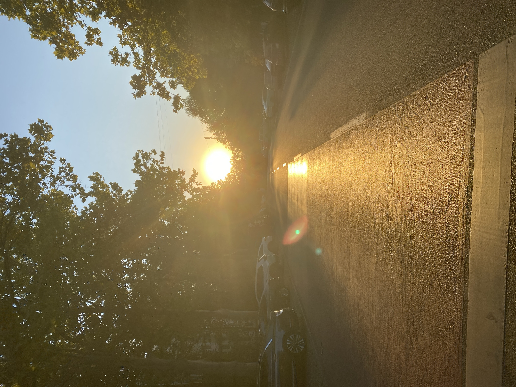 The image depicts a street scene at sunset in Chișinău, Moldova. The sun is low on the horizon, casting long shadows and illuminating the wet asphalt road with a golden glow. Several cars are parked along the right side of the street, some partially obscured by trees. The trees, with their lush green leaves, frame the top of the image, their branches reaching towards the clear blue sky. The overall atmosphere is serene and tranquil, with the setting sun creating a warm and inviting ambiance. The scene appears to be a residential or commercial street, possibly in a park or a tree-lined avenue, given the presence of mature trees and parked vehicles.