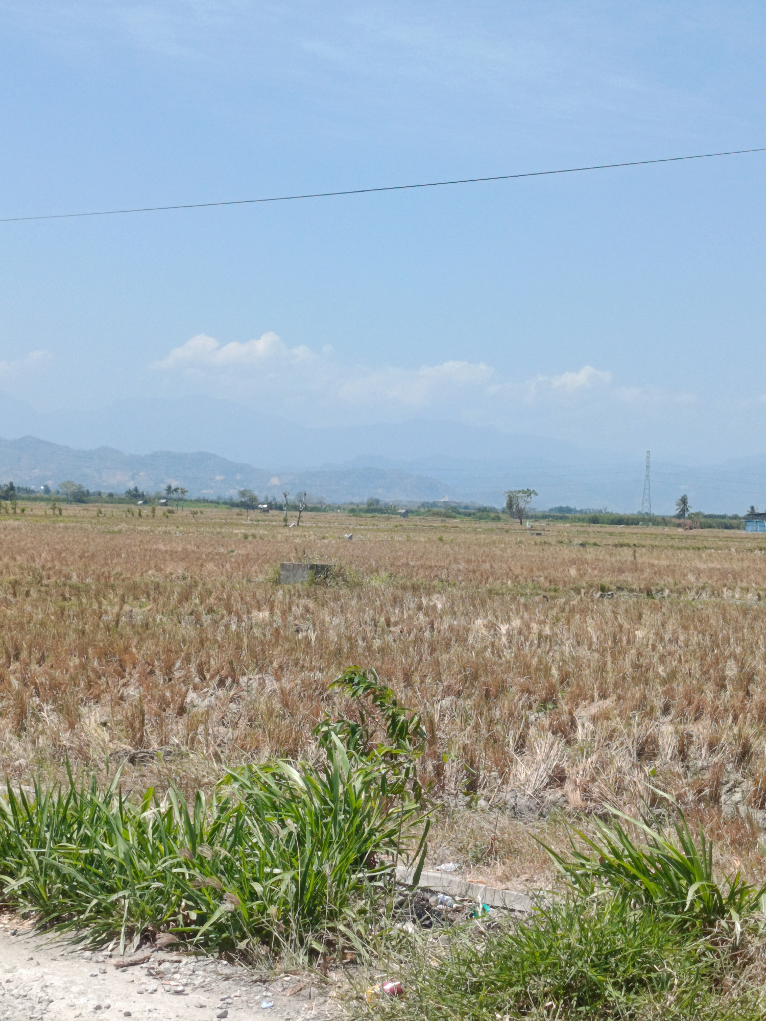 The image depicts a rural landscape in Limehe Timur, Indonesia, under a clear blue sky with a thin power line stretching horizontally across the upper portion. The foreground is dominated by a field of dry, golden-brown stubble, likely from a harvested crop such as rice. Lush green grass grows along the edge of a dirt road in the lower foreground, with scattered pebbles and some debris. In the mid-ground, the dry field continues, dotted with sparse green vegetation. Further in the distance, more trees and some small structures are visible. A tall, metal electricity pylon stands prominently on the right side of the mid-ground. The background features a range of hazy blue mountains under the expansive sky. There are no people visible in the scene.