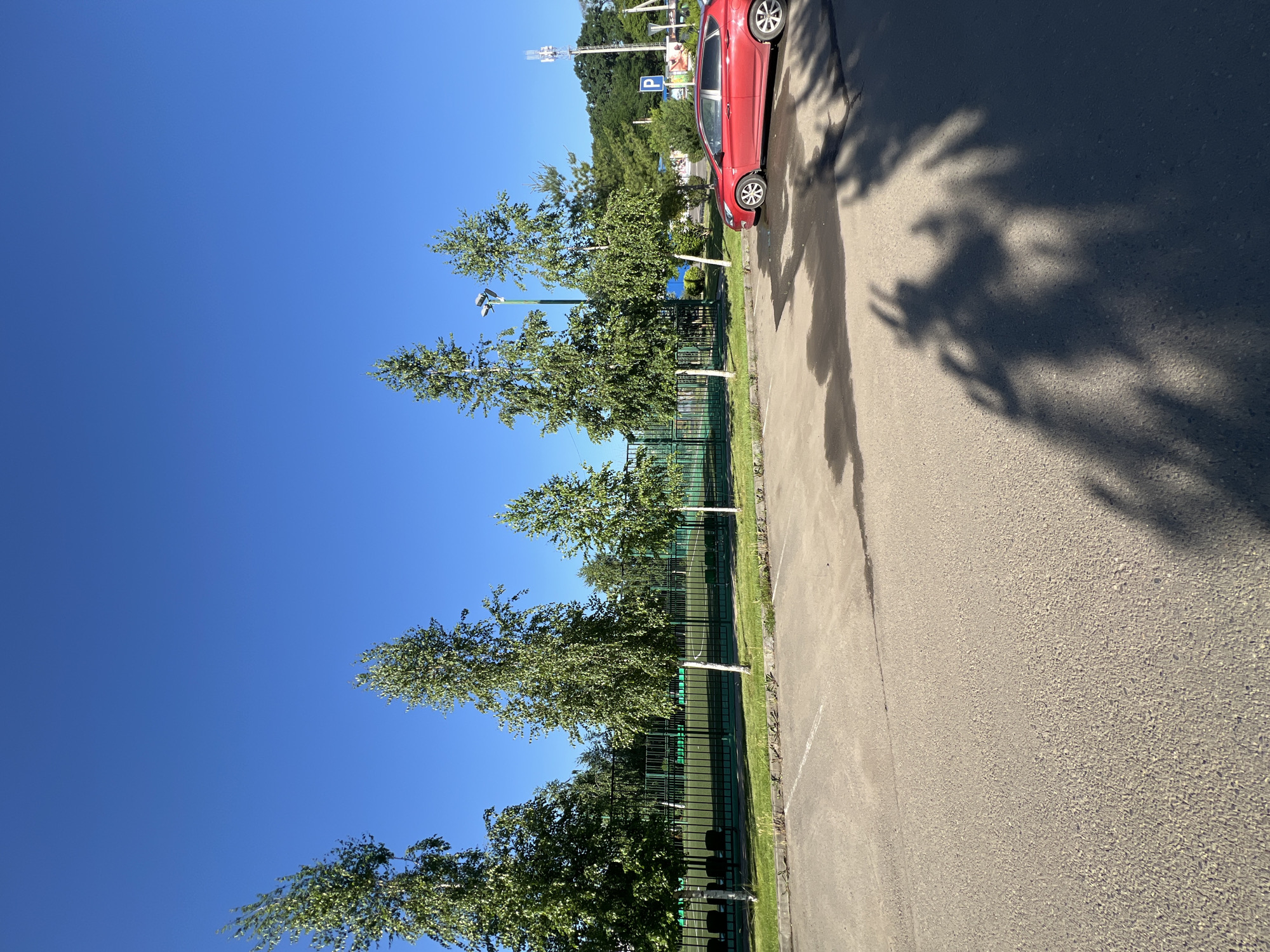 The image depicts an outdoor scene on a sunny day, likely in the city of Plast Univska, Russia. The foreground consists of an asphalt parking lot with white parking lines and some wet patches. In the midground, there is a row of tall, slender birch trees with green foliage. Behind the trees, a fenced sports field with artificial turf is visible, along with several empty benches. To the right of the sports field, a red hatchback car is parked on the asphalt. Further in the background, there are more trees and a telecommunications tower. The sky is a clear, bright blue. The shadows of trees and possibly people are cast on the parking lot in the foreground.