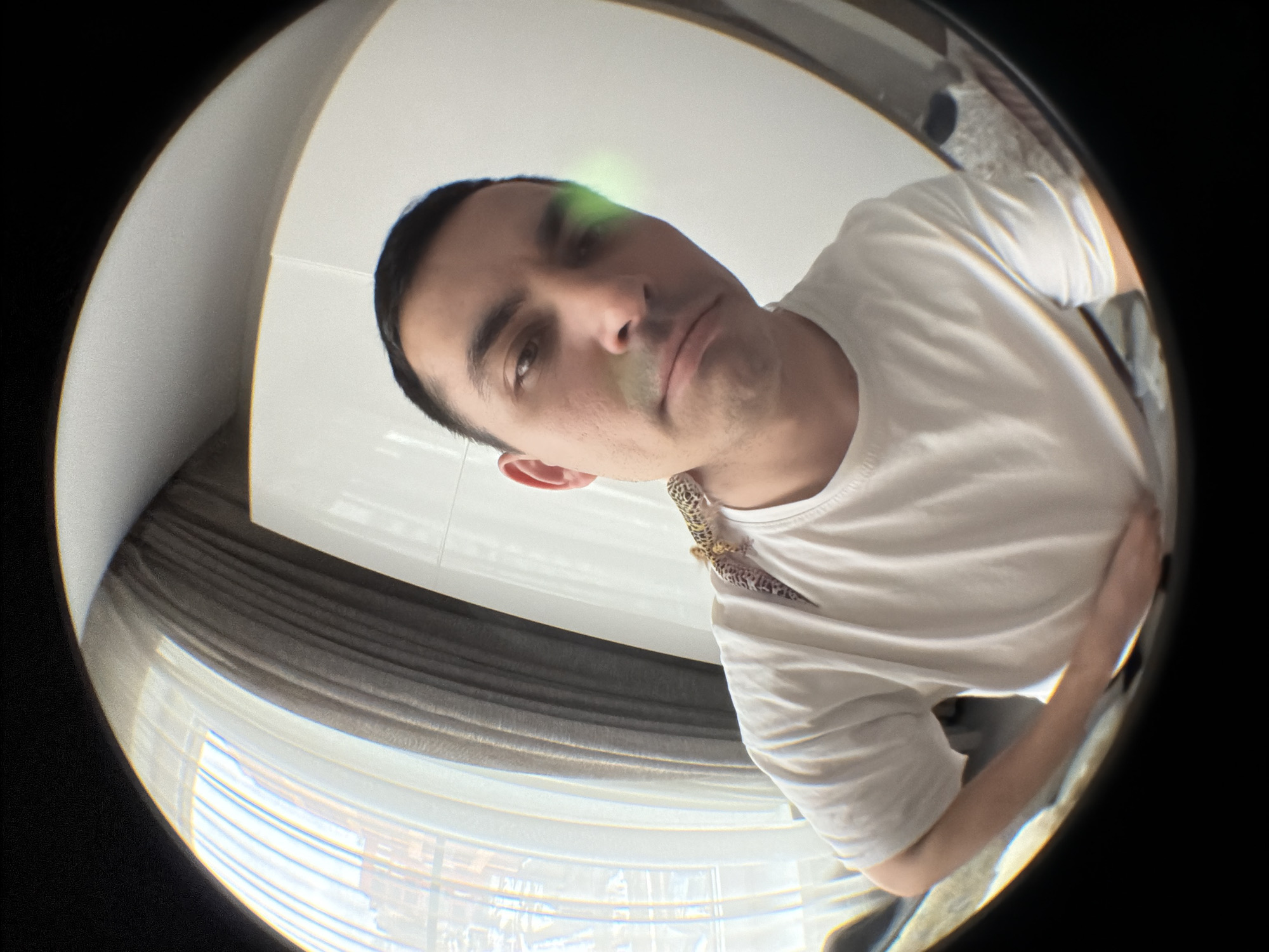 A low-angle, fisheye lens view captures a man wearing a white t-shirt. A leopard gecko is perched on his shoulder. A window with sheer curtains and a white wall are visible in the background. The location is indeterminate; there is no information to conclude this photograph was taken in Izhevsk, Russia.