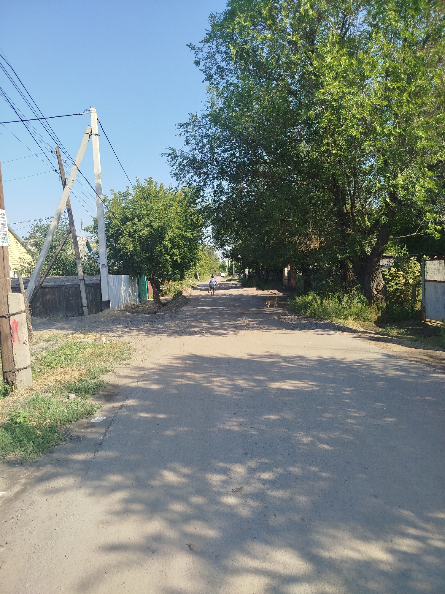 A rural road in the city of Qarağandı, Kazakhstan, is depicted under a clear blue sky. The road, covered in asphalt, is lined with trees on both sides, casting dappled shadows across the surface. On the left side of the road, a house with a yellow facade and a wooden fence can be seen, along with utility poles and wires. On the right side, dense green foliage grows alongside the road, and a large, mature tree dominates the view. In the distance, a person on a bicycle is heading away from the camera, and a dog stands near the edge of the road. The overall scene suggests a tranquil, everyday setting in a rural or suburban area of the city.