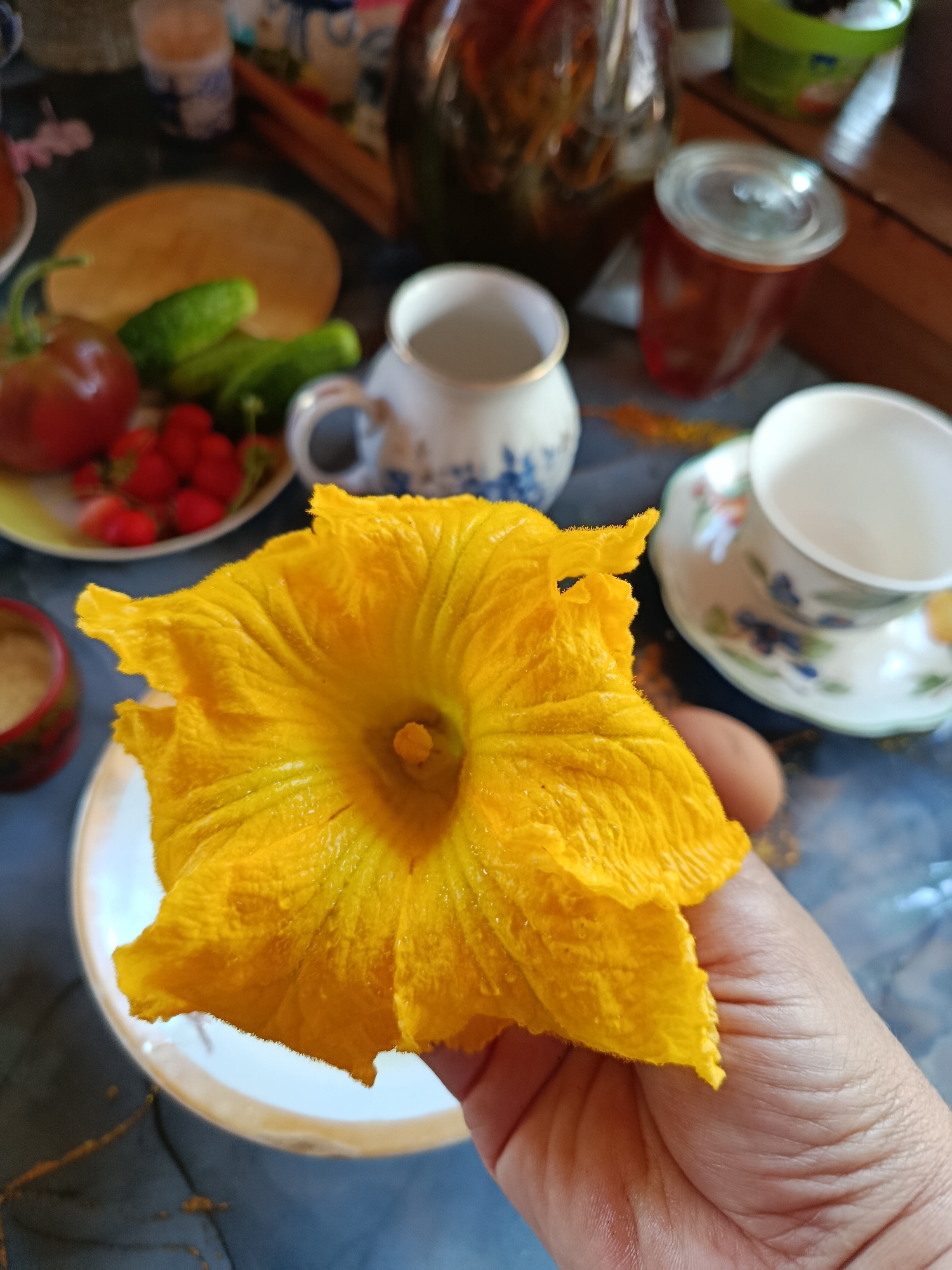 A person's hand is holding a large, bright yellow squash blossom. The blossom is open and has a velvety texture, with tiny droplets of water visible on its petals. The background is a dark, reflective surface, possibly a table, with various objects scattered on it. These include a plate with a red tomato, several green cucumbers, and a cluster of red berries, likely strawberries or raspberries. There are also two porcelain cups and saucers, one with a floral pattern. In the further background, a glass jar with a red lid, a wooden tray, and other blurred items suggest a domestic setting. The lighting is natural and appears to be coming from the side, creating subtle shadows and highlighting the textures of the objects. There is no discernible information in the image that places it specifically in the city of Верея, Russia.