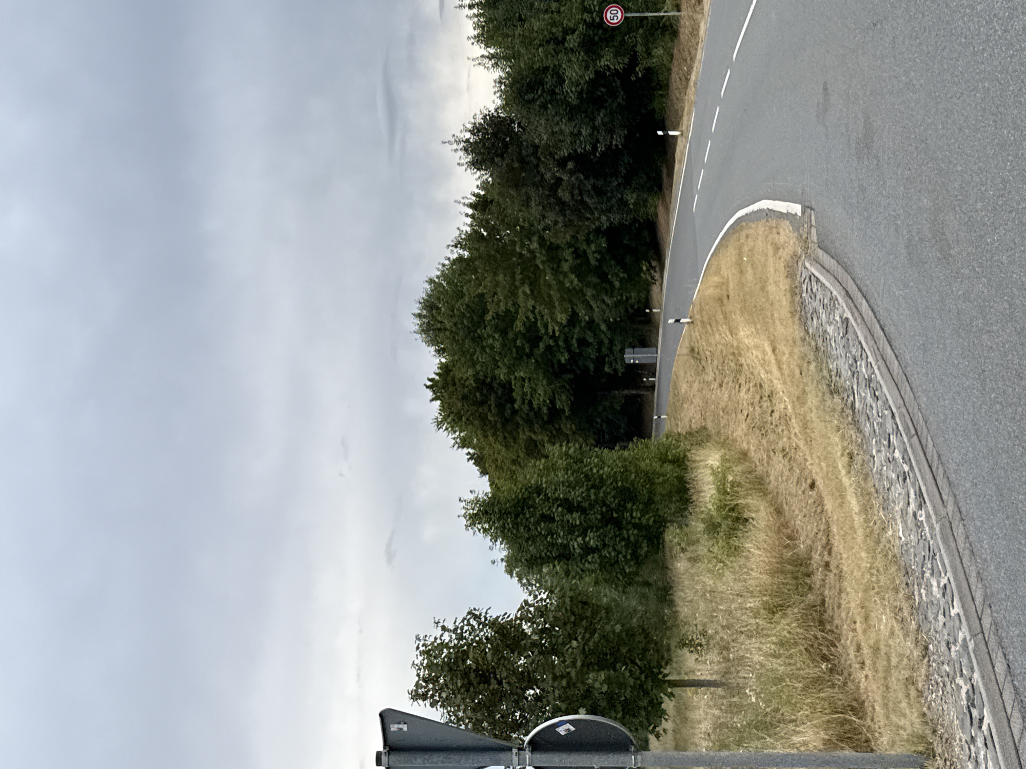 A paved road curves to the right, bordered by a dry, grassy verge with cobblestones along the edge. On the left, a metal post with road signs stands beside a young tree. A dense line of trees forms a backdrop, with a speed limit sign of "50" visible on the right side of the road. The sky is overcast with grey clouds.