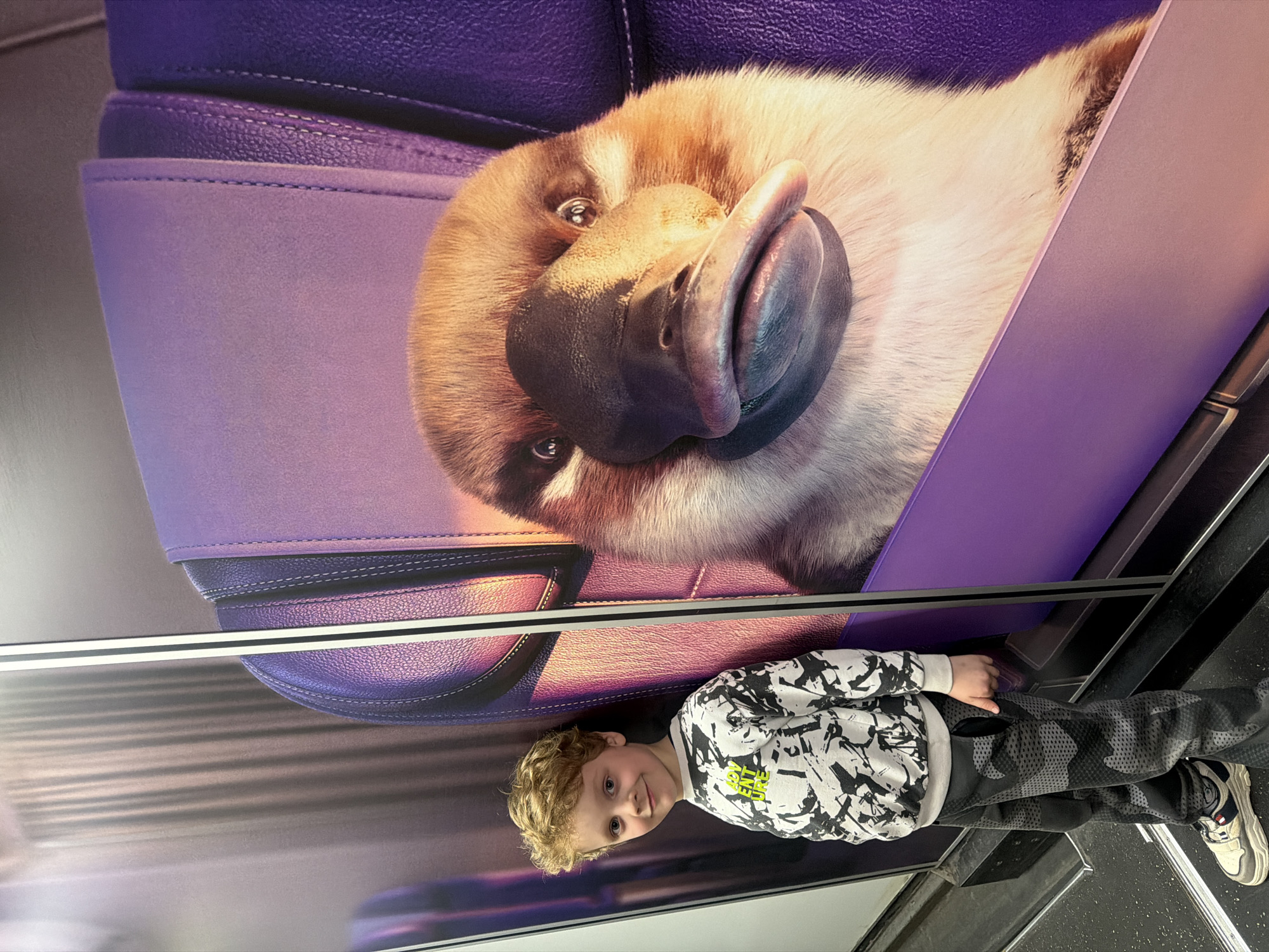 A child is standing in front of a large-scale animal mural, possibly in a public space in Saint Petersburg, Russia. The child is a fair-skinned, young boy with curly blonde hair, wearing a black and white patterned sweatshirt, and camouflage-patterned trousers. He is looking at the camera with a slight smile.
The mural behind him features a close-up of a platypus head emerging from a stylized, purple leather car seat. The platypus has a large, dark beak and visible fur detail. The overall composition is visually striking and suggests an element of whimsy or playfulness.
The environment appears to be a commercial or public setting, with vertical metal railings and structural elements present in the foreground. The image is taken at an unusual angle, possibly from below, emphasizing the height of the mural.