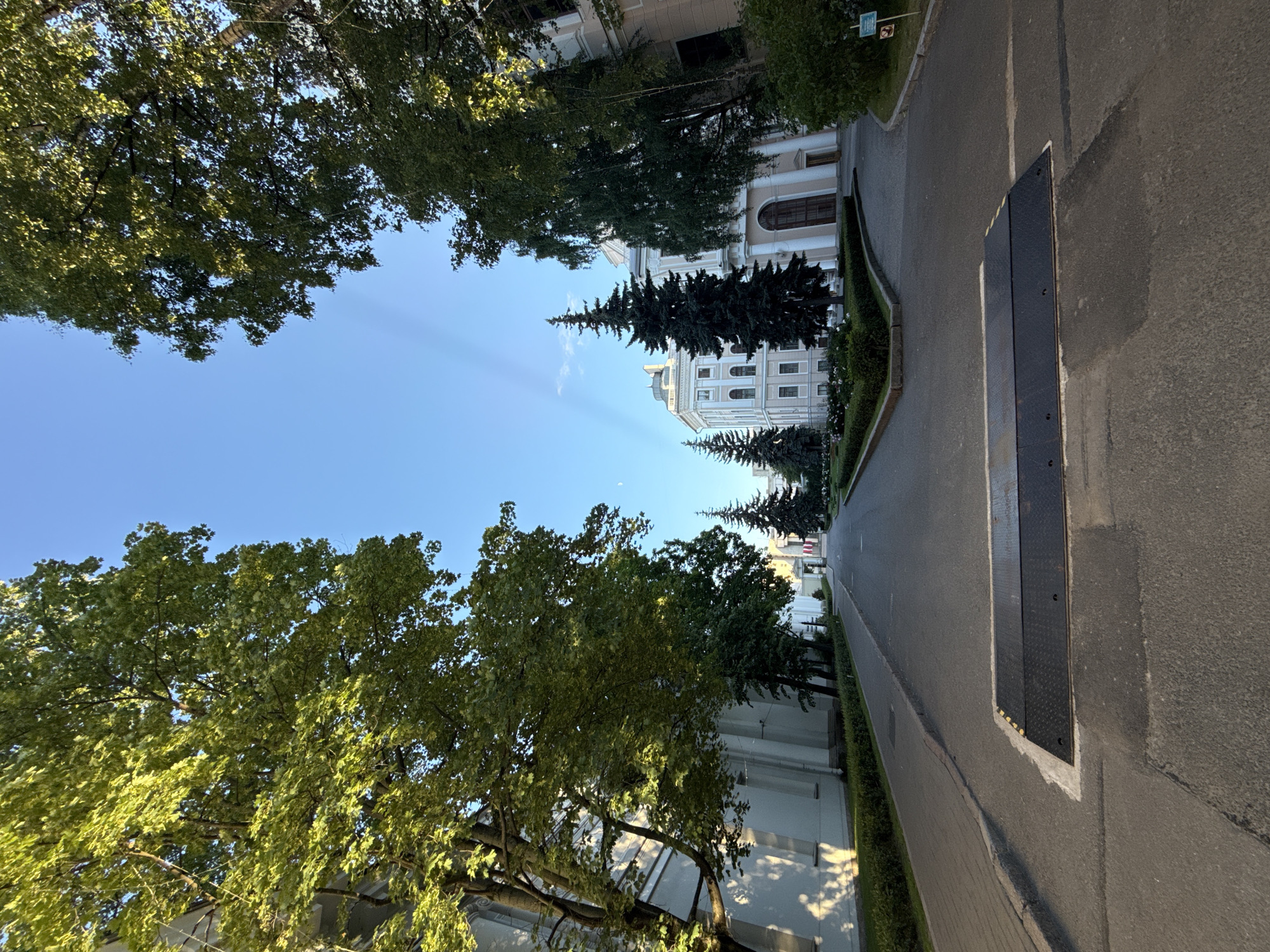 The image shows an exterior view of a pathway leading to a large building with neoclassical architecture, likely a historical institution in Saint Petersburg, Russia. The pathway is flanked by mature trees with lush green foliage on either side. The building itself is light-colored with multiple windows and a grand entrance. The sky is a clear blue with faint sunlight rays visible. In the foreground, there is a speed bump on the asphalt road, suggesting it's a driveable path. The overall scene evokes a sense of tranquility and historical significance.