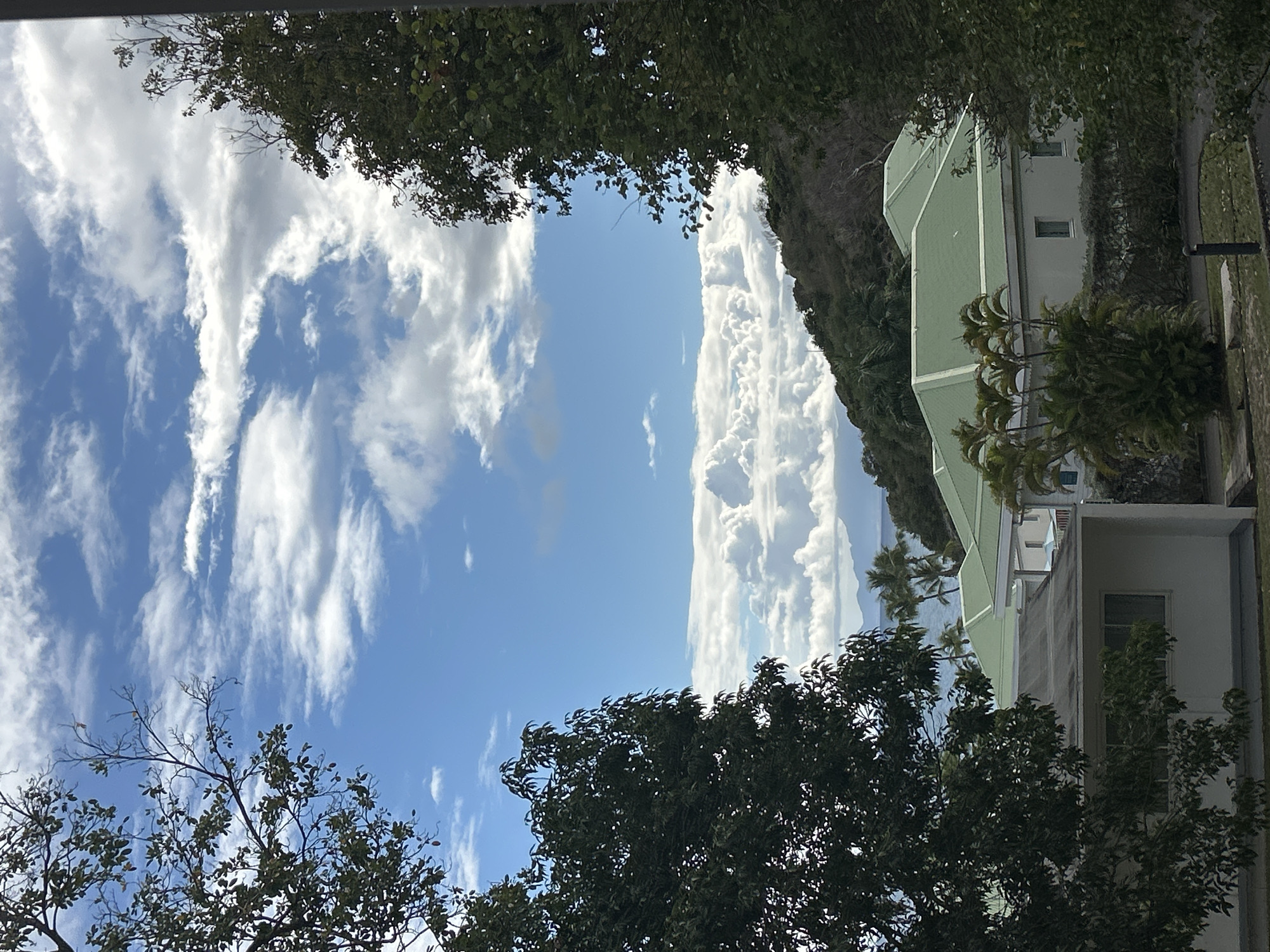 The image presents a view upwards through trees towards a bright sky with clouds. On the right, a multi-story building with a light green roof and white walls is visible. A hillside covered with green vegetation rises behind the building. The foreground and the upper part of the image are framed by tree branches with green leaves. The scene suggests a location that combines urban elements with natural landscapes. The exact location within Sainte-Anne, France is not possible to determine from the image alone.
