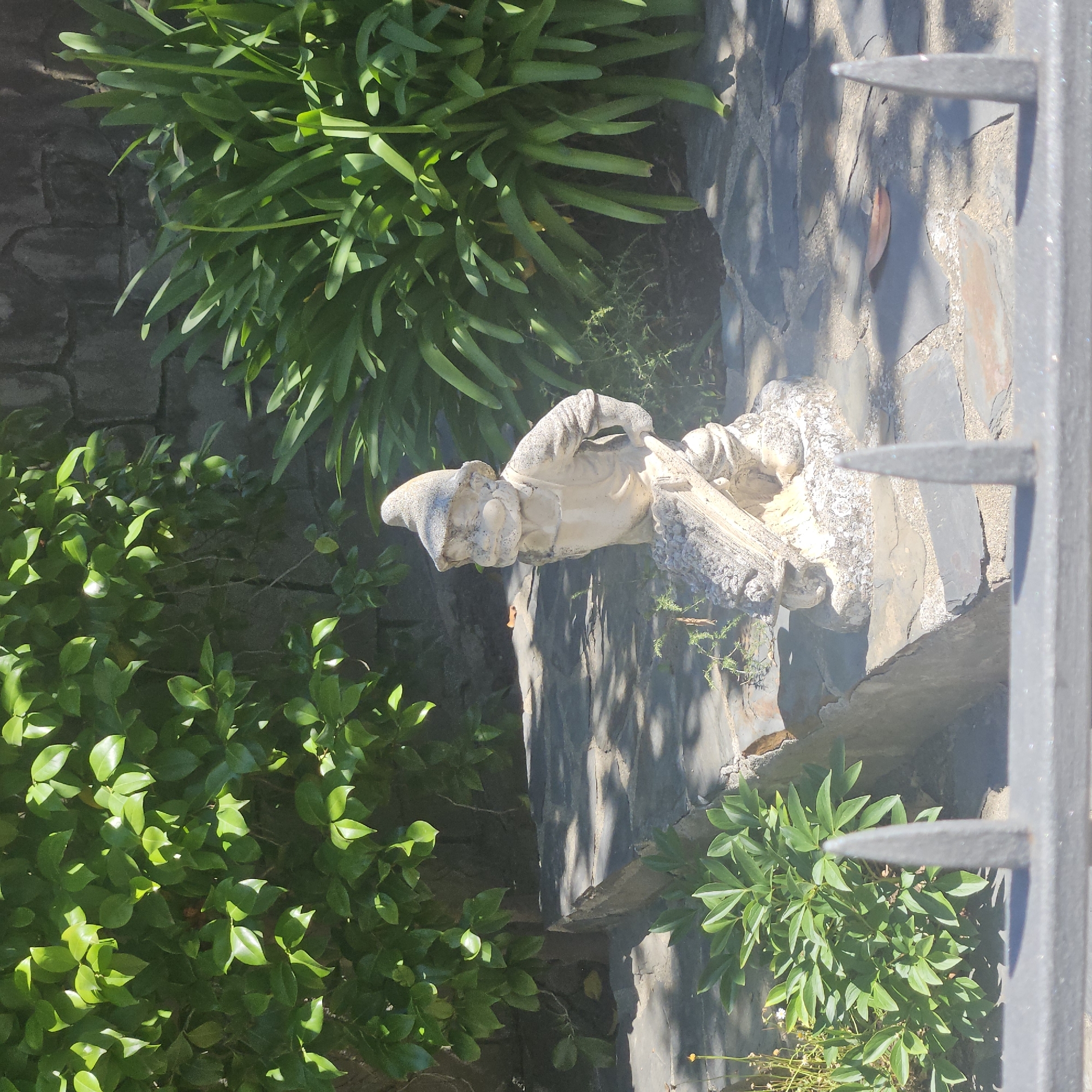An outdoor scene in what appears to be a garden or courtyard in La Jonquera, Spain. A stone statue, likely of a religious figure or angel, stands prominently amidst various plants and greenery. The statue is aged and weathered, positioned on a stone surface or ledge. The surrounding vegetation includes leafy green shrubs and plants with long, blade-like leaves. The ground is made of irregular stone slabs. A wrought iron fence with pointed spikes is visible in the foreground, partially obscuring the view. The setting suggests an old garden or public space, possibly associated with a historical site or religious building. The lighting indicates it is daytime, and shadows are present.