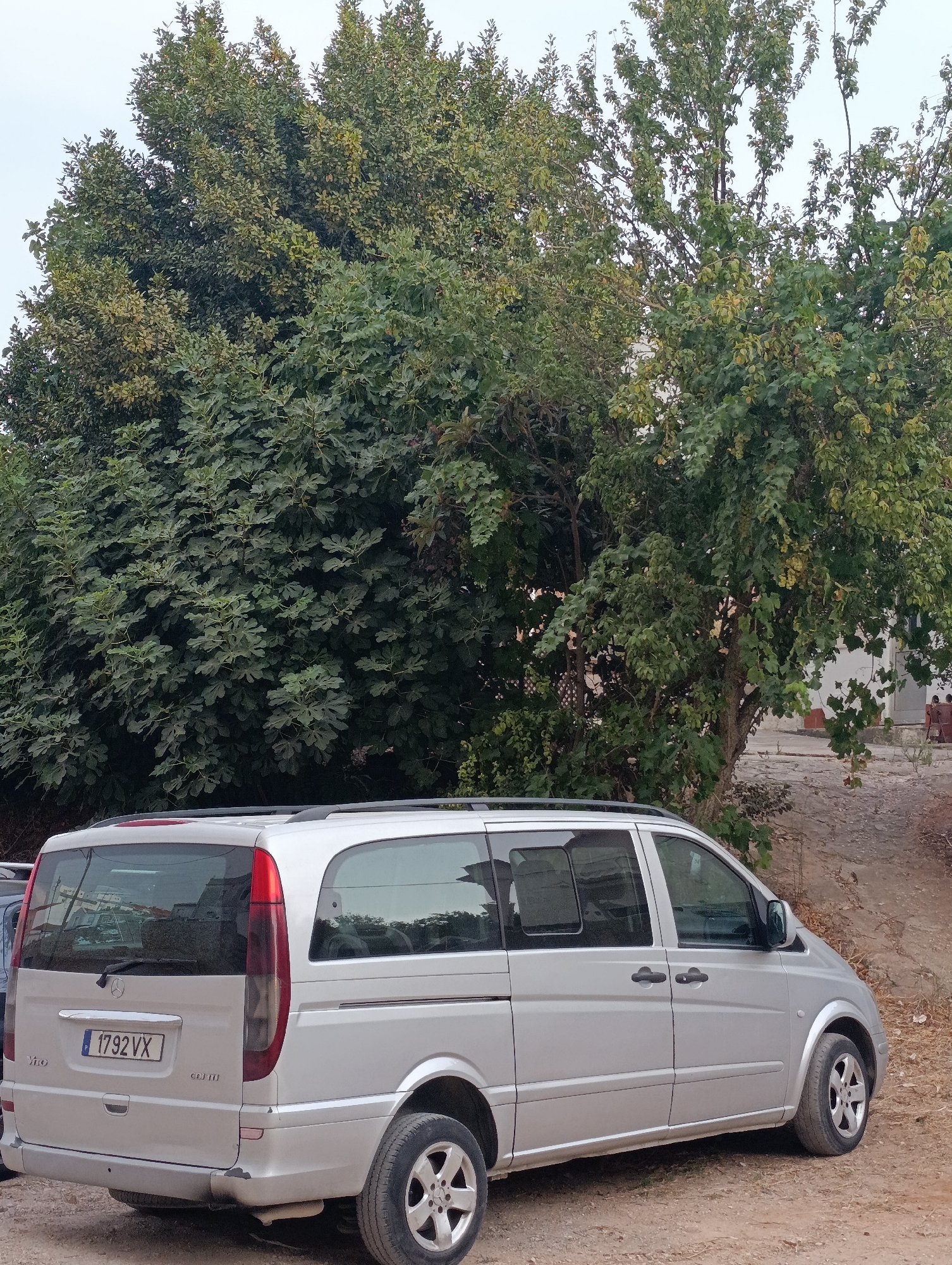 A silver Mercedes-Benz Vito van is parked on a dirt road in front of lush green trees. The van's license plate reads "1792 VX". The scene appears to be in an outdoor setting, possibly a park or a residential area, with some buildings visible in the background. The sky is overcast, suggesting it might be a cloudy day. There are no people clearly visible in the image.