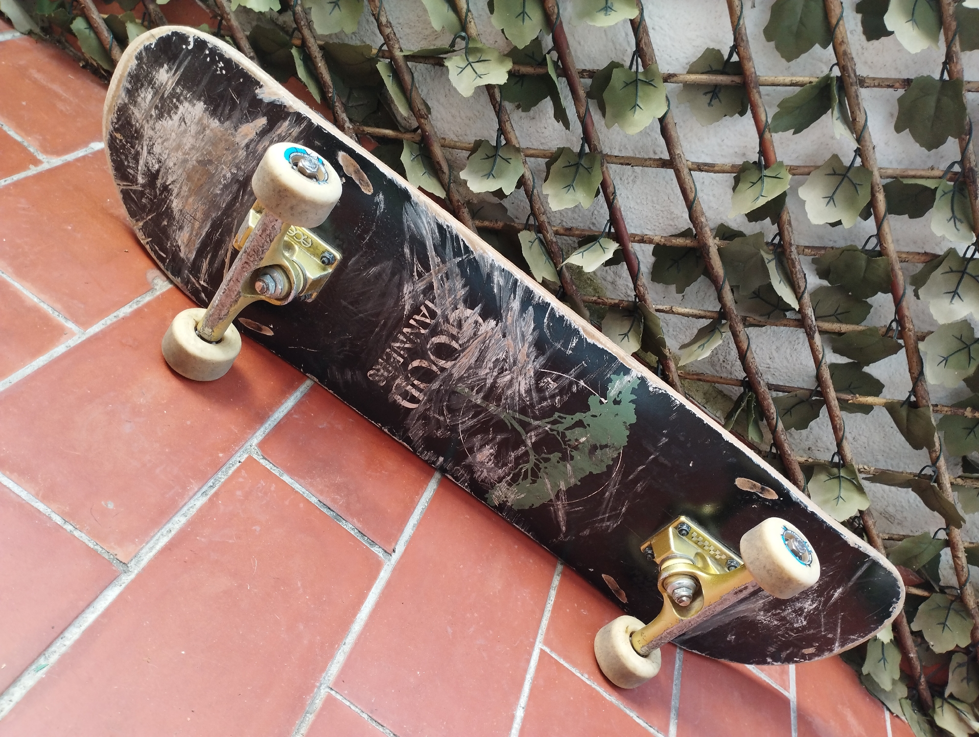 A used skateboard rests on its side, leaning against a decorative trellis and a white wall. The skateboard deck is black, heavily scratched, and scuffed, indicating significant wear. A faded graphic on the bottom of the deck features a green, tree-like design and partially visible white text. The word "GOOD" is clearly discernible, followed by what appears to be "ANNER". The trucks, which connect the wheels to the deck, are a golden or brass color. Close inspection reveals "INDY" embossed on one of the trucks, likely referring to the brand Independent Trucks. The wheels are an off-white or cream color, also showing signs of use, with a small blue detail visible in the center of the bearings.
The skateboard is positioned on a ground surface composed of reddish-brown, rectangular terra cotta tiles separated by gray grout lines. In the background, a rustic trellis made of crisscrossing wooden sticks is visible. Artificial, dull green leaves, some appearing faded, are attached to the trellis, creating a decorative, vine-like effect against the white, textured wall behind it. The lighting is bright and even, suggesting daytime. No activity is taking place; the skateboard is stationary, propped up in what appears to be an outdoor or semi-outdoor setting like a patio or garden area.