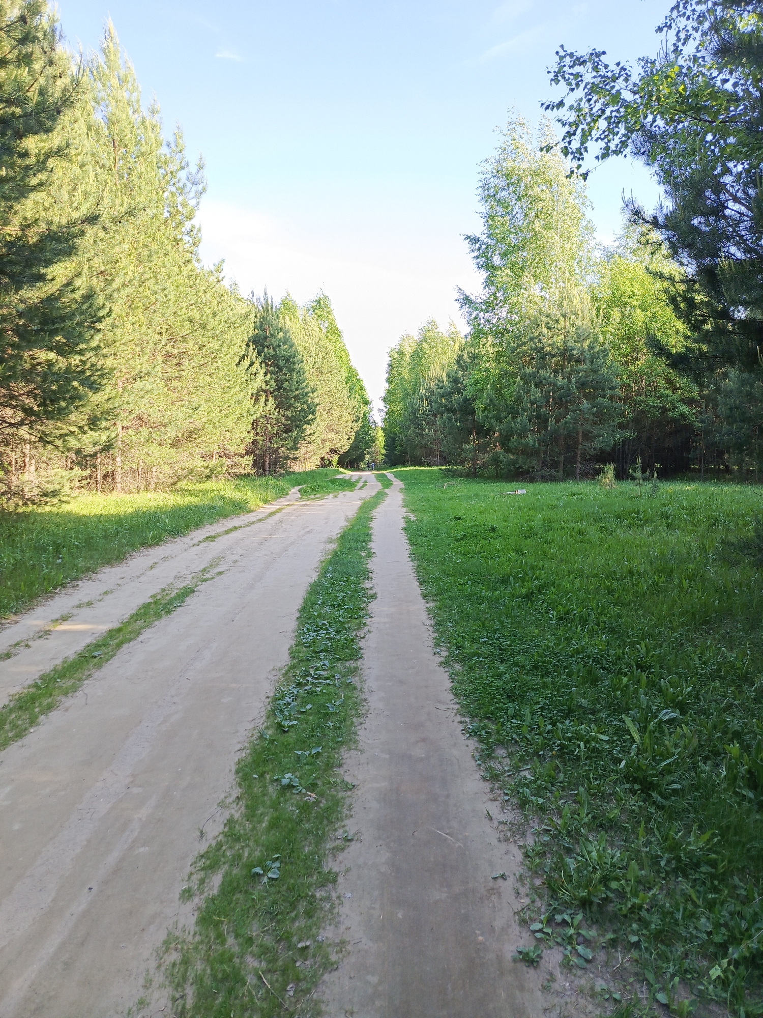 The image shows a dirt road leading into a forest. The road has two distinct tracks, with grass growing in the center and on the edges. Tall pine trees line the left side of the road, while a mix of deciduous and coniferous trees are on the right. The sky is visible at the end of the road and is light blue. The scene is daytime with good lighting.
Given the location mentioned, this image is likely of a forest road or path within or near Chaikovsky, Russia. Without additional information, no further specifics about the location or the events unfolding within the scene can be stated.