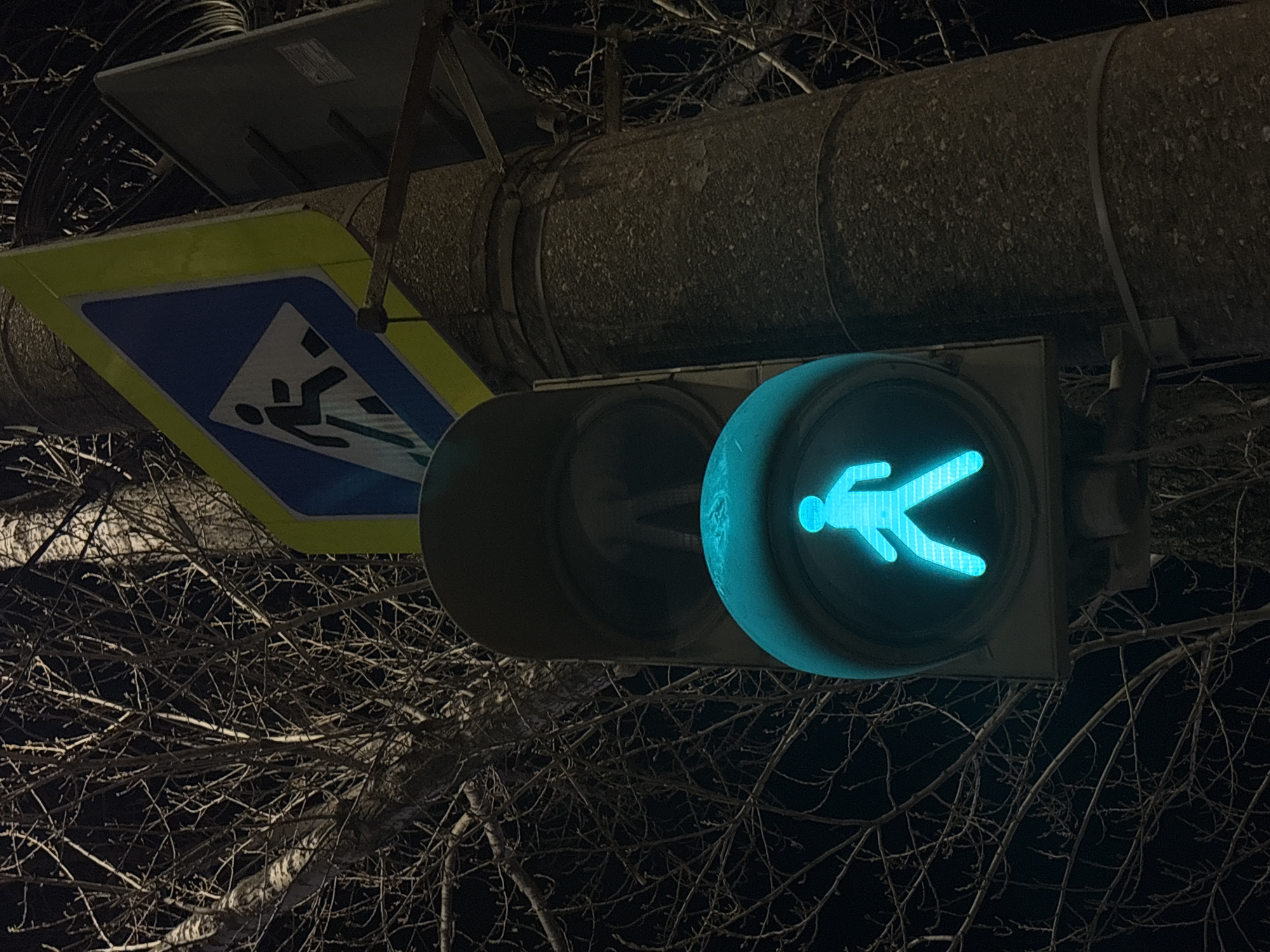 At night, a pedestrian traffic light displays a lit green walking symbol. The traffic light is mounted on a pole alongside a blue and yellow pedestrian crossing sign. The pole is textured and appears aged. Bare tree branches are visible in the background, and the image is taken in Perm, Russia.