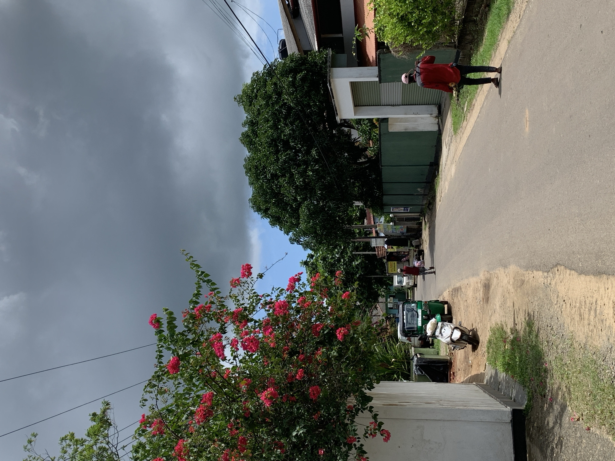 The image depicts a street scene in Kabalana, Sri Lanka, under a cloudy sky. In the foreground, a white scooter is parked on a sandy, grassy verge. Further down the road, a green tuk-tuk is visible. A man in a red shirt and dark pants is walking away from the camera on the right side of the road. He is carrying something over his shoulder. On the left side of the image, a white wall is present, with vibrant pink bougainvillea flowers blooming over it. In the background, there are trees, houses, and shops lining the street. Power lines crisscross the sky.