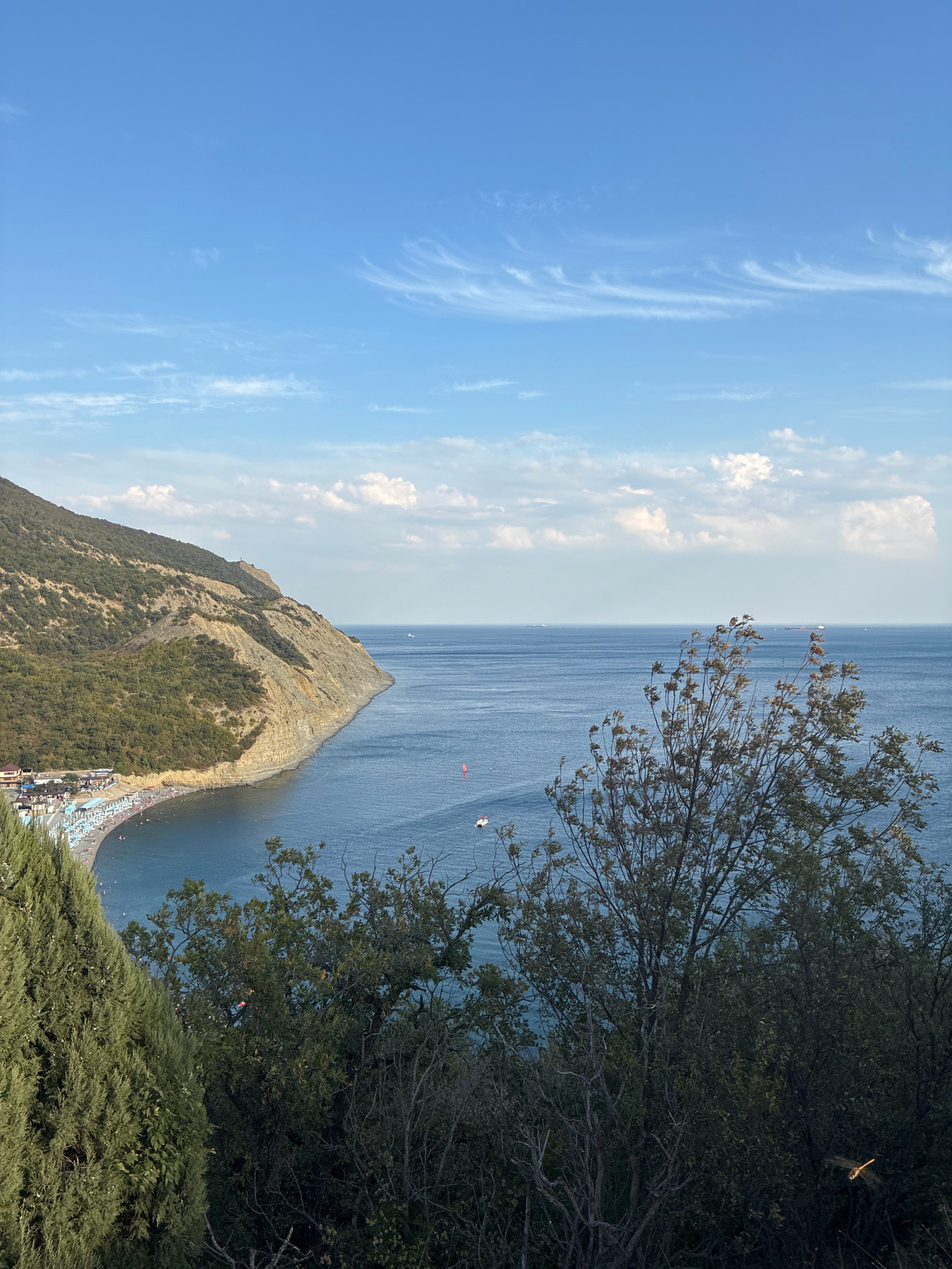 This is an outdoor, eye-level, medium shot photograph of a coastline with a beach and the sea under a partly cloudy sky. In the foreground, there are dark green evergreen trees and other foliage. In the middle ground, a sandy beach is visible with numerous beach umbrellas and people. The sea is calm, with several boats and ships scattered across it. A large, rugged, and vegetated cliff face curves along the coastline, meeting the sea. In the distance, the horizon separates the blue sea from the pale blue sky, which is adorned with wispy white clouds. This scene depicts the coastal landscape of Dyurso, Russia.
