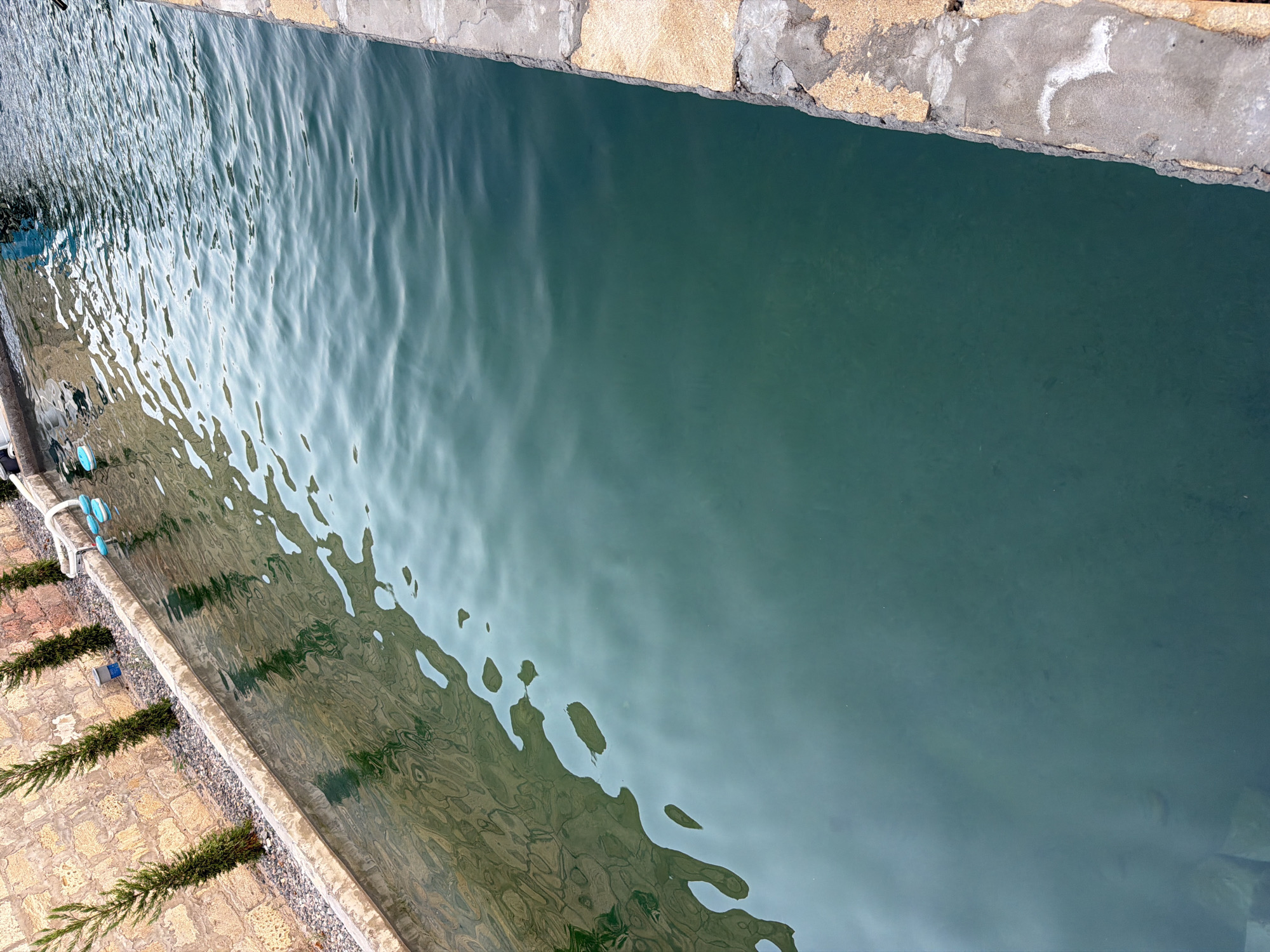 The image shows a section of a narrow, rectangular body of water, likely a canal or a pool, with a stone-lined embankment on the left and a concrete and stone edge on the right. The water is a dark teal color and appears calm with slight ripples on the surface. The embankment on the left is constructed of rough-hewn, light-colored stones and is lined with a layer of small grey gravel. Several small, conical evergreen trees are planted in the gravel. Reflections of the embankment and the trees are visible on the surface of the water. On the far left of the water's edge, a white structure with blue objects is partially visible. The concrete and stone edge on the right side of the water is weathered and appears to be made of concrete with a border of rough, reddish-brown stones. This scene is located in the city of Sabirabad, Azerbaijan.