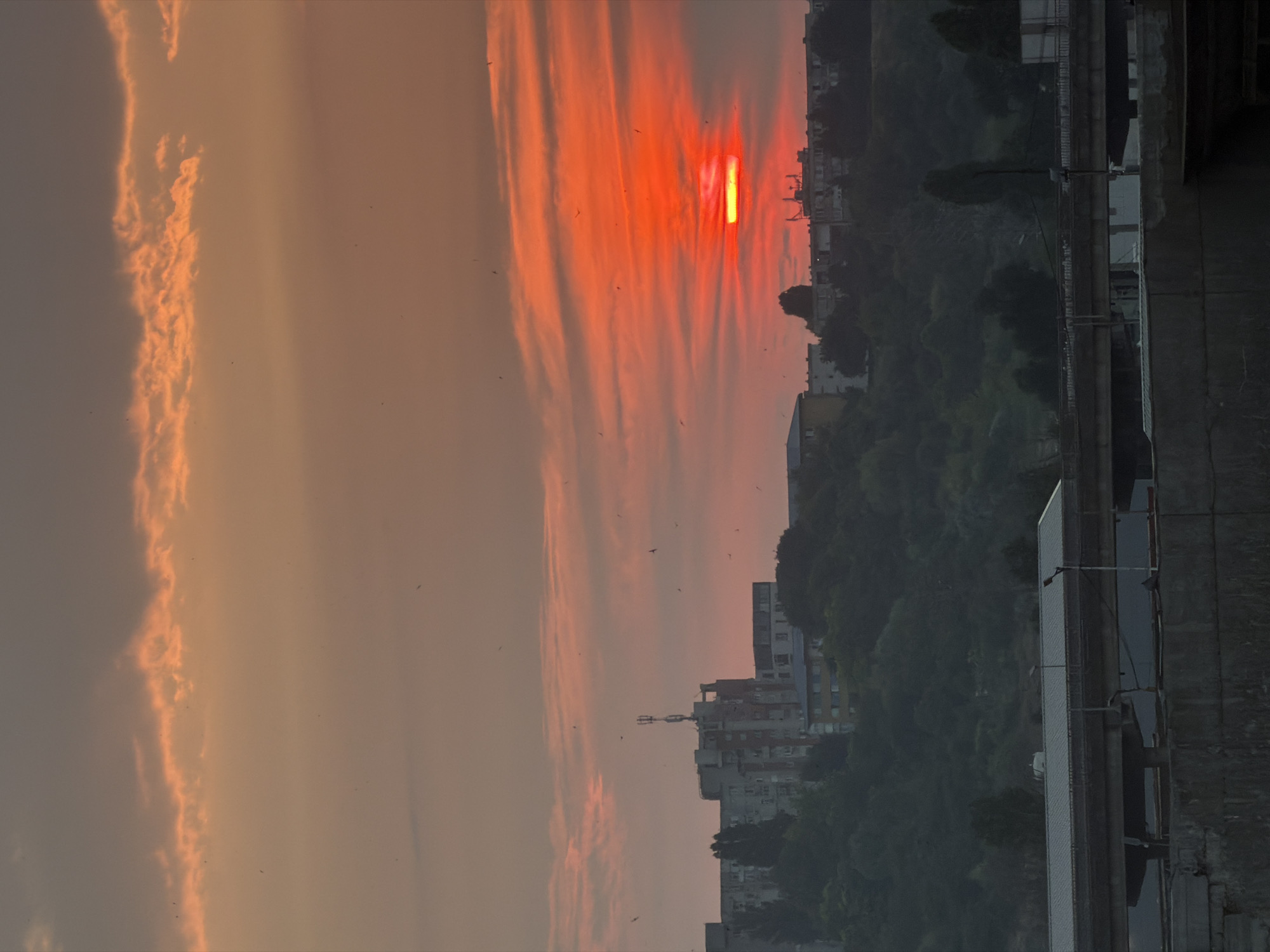 The image depicts a dramatic sunset over Constanța, Romania. The sky is ablaze with vibrant reds and oranges, illuminated by the setting sun, which appears as a bright, rectangular sliver peeking through streaky clouds. Small, dark silhouettes of birds are scattered across the sky, adding a sense of movement and scale.
In the middle ground, a dense green hillside is visible, dotted with buildings of varying heights. Some appear to be apartment complexes, with visible windows and balconies. The architectural style suggests a contemporary urban setting. The hillside is lush with trees, creating a stark contrast with the fiery sky.
In the foreground and right side of the image, there are elements of a modern urban infrastructure. A long, metallic structure, possibly a bridge or a building facade, runs horizontally. This structure is characterized by its grey, weathered surface and the presence of railings and other industrial details. The overall scene evokes a sense of dramatic beauty, a blend of natural splendor and human habitation. The time of day is clearly sunset, indicated by the intense colors and low angle of the sun. The weather appears clear, with the clouds serving only to enhance the sunset's visual impact. There is no visible text in the image.