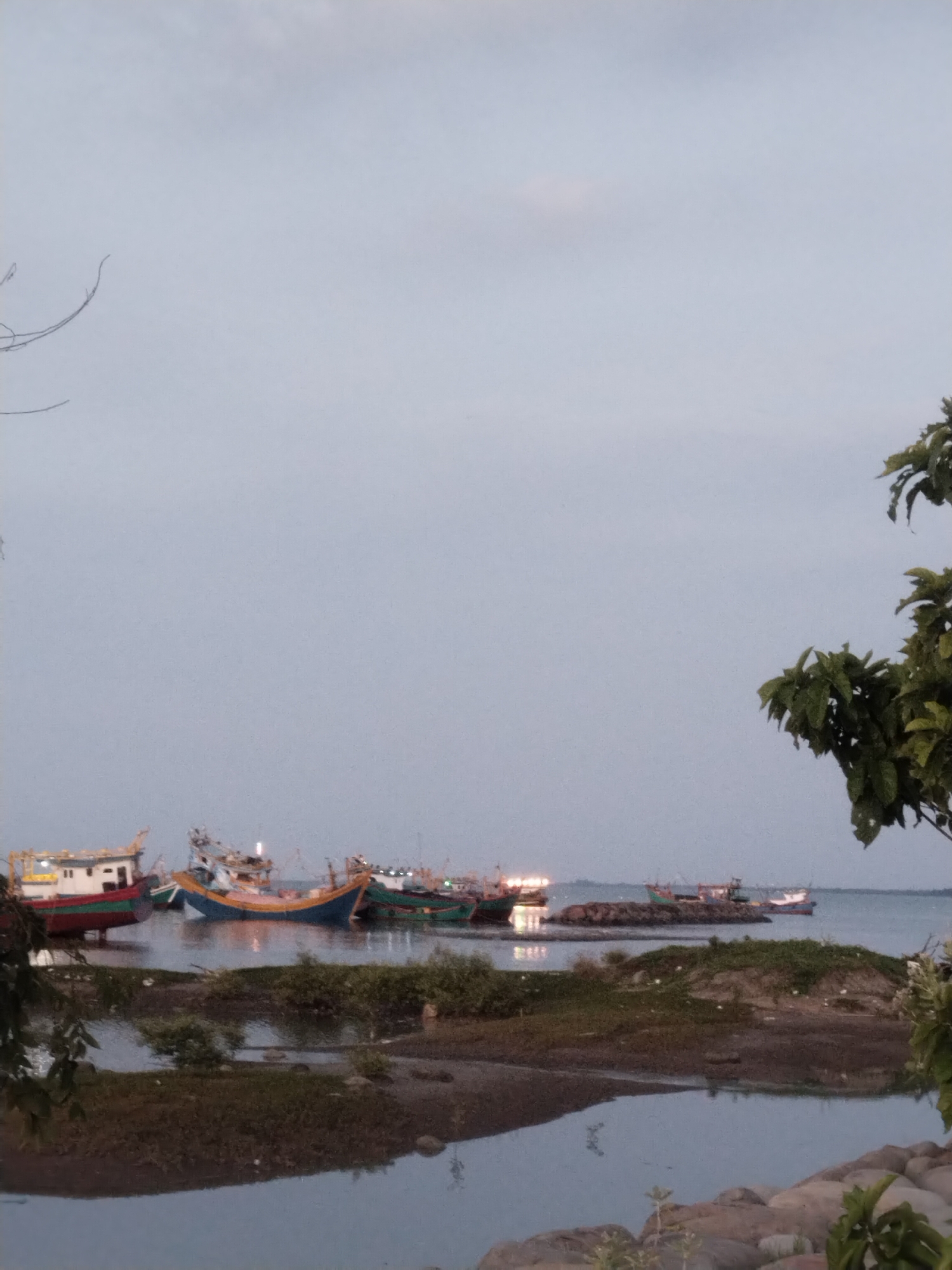 The image depicts a coastal scene in Lhokseumawe, Indonesia, likely at dusk or dawn due to the soft, diffused light and the illumination of the boats. Several fishing boats are moored in the calm water, ranging in color from red and white to blue and yellow to green, with visible lights. The foreground consists of a low-lying, somewhat muddy or sandy area with sparse vegetation, leading to a body of water, possibly a river mouth or small bay. Some rocks are present on the right edge of the image near the water. A tree with green leaves is also on the right, while some bare branches are on the left. The sky is overcast and light gray. The scene is still and quiet, suggesting a moment of rest for the fishing activities.