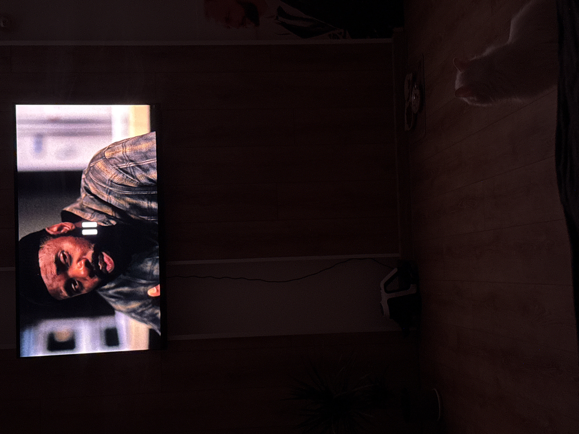 A dark room features a flat-screen television displaying a close-up of a Black man wearing a black beanie and a plaid shirt. He has a beard and is looking slightly to the left, with his mouth open as if speaking. A pause icon is visible on the right side of the screen. Below the television, a black cable hangs down the wall. To the left of the cable, a dark, spiky plant is situated in a black pot. In the center of the lower part of the frame, a white gaming console or similar device is visible. To the right of the gaming console, a white cat is facing away from the camera and looking towards the television. The room has hardwood floors and appears to be dimly lit, with a sliver of light visible on the right side of the frame, hinting at another area or possibly a doorway.
