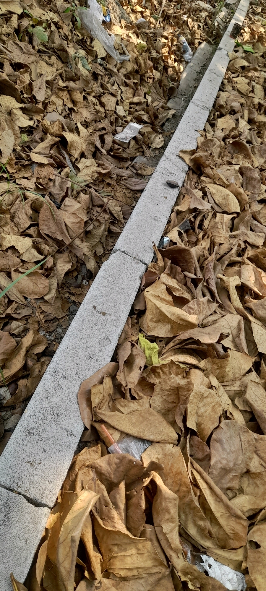 The image depicts a ground-level view of dry, fallen leaves accumulated along a concrete curb on a roadside in Jonggol, Indonesia. The leaves are predominantly brown and dry, indicating an arid season or period of decay. Scattered amongst the leaves are pieces of litter, including plastic wrappers and a partially visible plastic bottle. The concrete curb appears to be slightly damaged, with one section showing a crack. The environment suggests a neglected outdoor area, possibly on the side of a road or pathway. No people or animals are visible in the image. The lighting indicates it is daytime, with sunlight casting shadows on the leaves.