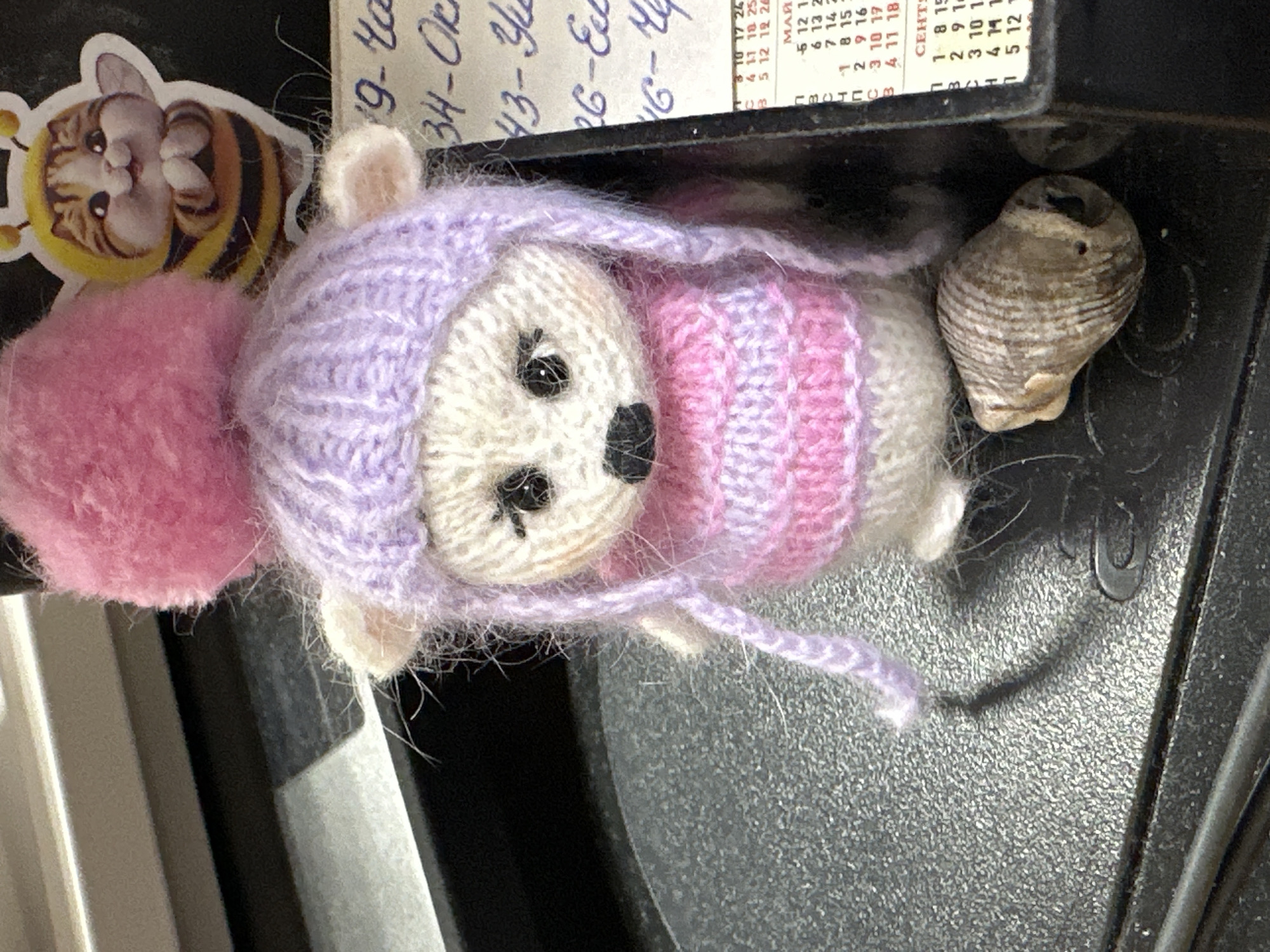 A close-up shot depicts a knitted toy animal, possibly a bear, adorned in a light purple hat with a large pink pom-pom. The toy also has a pink and white striped scarf. The toy is positioned to the right of a sticker featuring a cartoon cat dressed as a bee. Adjacent to the toy, a small seashell is present. A refrigerator magnet containing text in Russian is visible at the top of the frame. The environment appears to be a refrigerator door, specifically in a residence in the city of Chaikovsky, Russia.