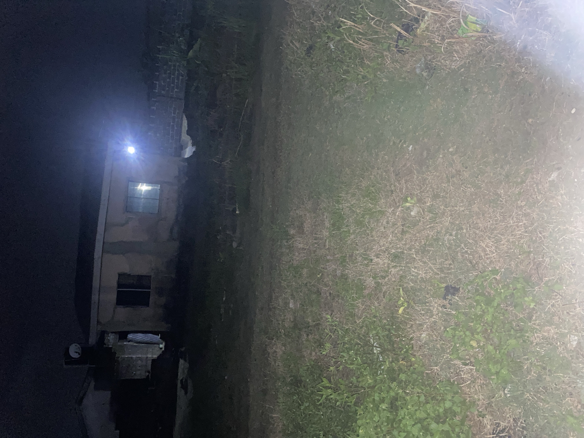 A nighttime view shows a two-story building with visible windows and some form of utility connection on the ground level. The building is adjacent to an overgrown area with a mix of dried grass and green vegetation. A light source illuminates the building. The location is unspecified.