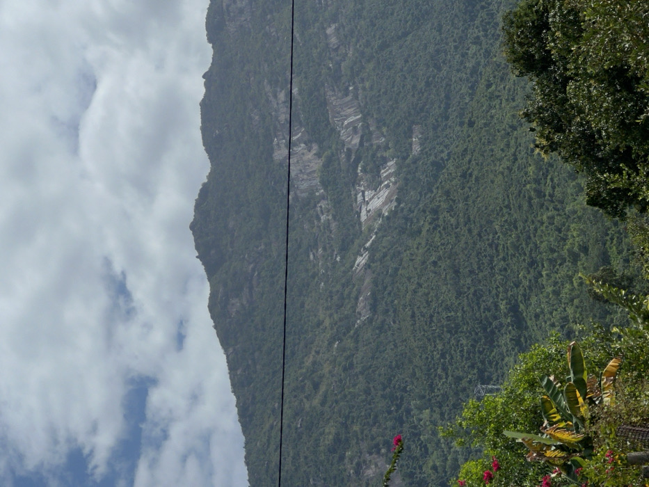 A mountainous landscape under a cloudy sky. The mountain's surface is covered in dense, green vegetation with exposed rock patches. In the foreground, a variety of tropical plants and flowers adds a vibrant touch of color. A power line stretches vertically across the scene. The image is oriented sideways, shifting the focus to the vertical dimension.