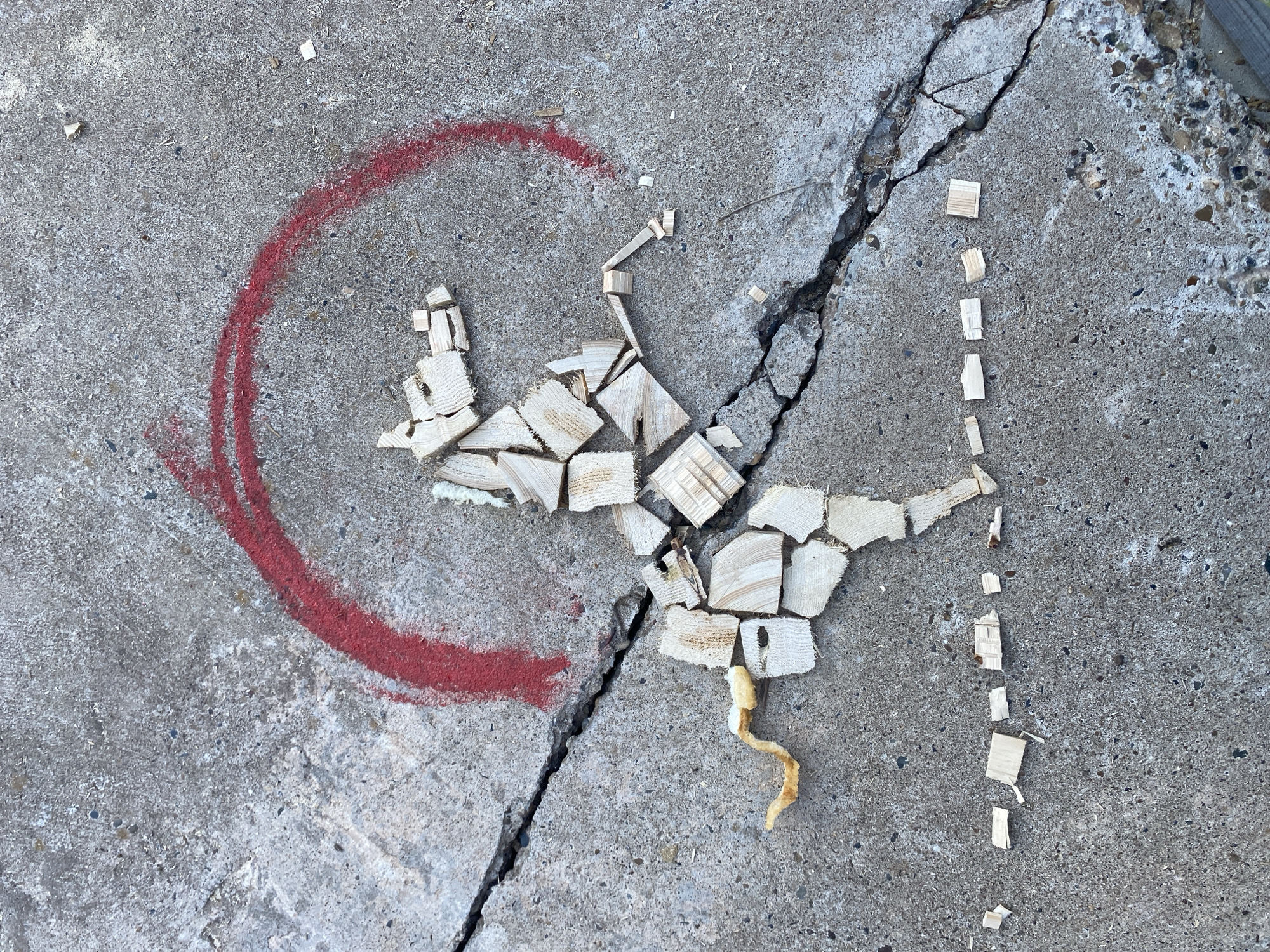 The image captures an artistic arrangement composed of various materials on a cracked gray concrete surface, likely an outdoor public space in Прикамский, Russia. The central focus is a collection of numerous small, light-colored wooden chips or splinters, meticulously arranged to form a stylized, abstract figure resembling an animal or creature, possibly a bird or dragon. This figure has a dense body of chips, with a segment extending to the lower right ending in a distinctive, yellow, root-like or curved wooden piece.
To the left of the wooden figure, a thick, vibrant red arc, made of chalk or paint, is drawn on the concrete, partially encompassing the wooden artwork. Further to the right, a series of smaller, rectangular wooden chips are spaced out, forming a dotted line extending vertically down the concrete. A prominent, dark, irregular crack traverses the concrete diagonally from the top right to the lower left, passing underneath the art arrangement. The concrete surface exhibits a textured, granular appearance, with varying shades of gray and embedded small pebbles.
The scene is brightly and evenly lit, indicating daytime, likely under clear weather conditions, as there are no distinct shadows. The arrangement appears to be a temporary form of street art or a playful creation using found materials. No people are visible in the image, nor is there any discernible text.