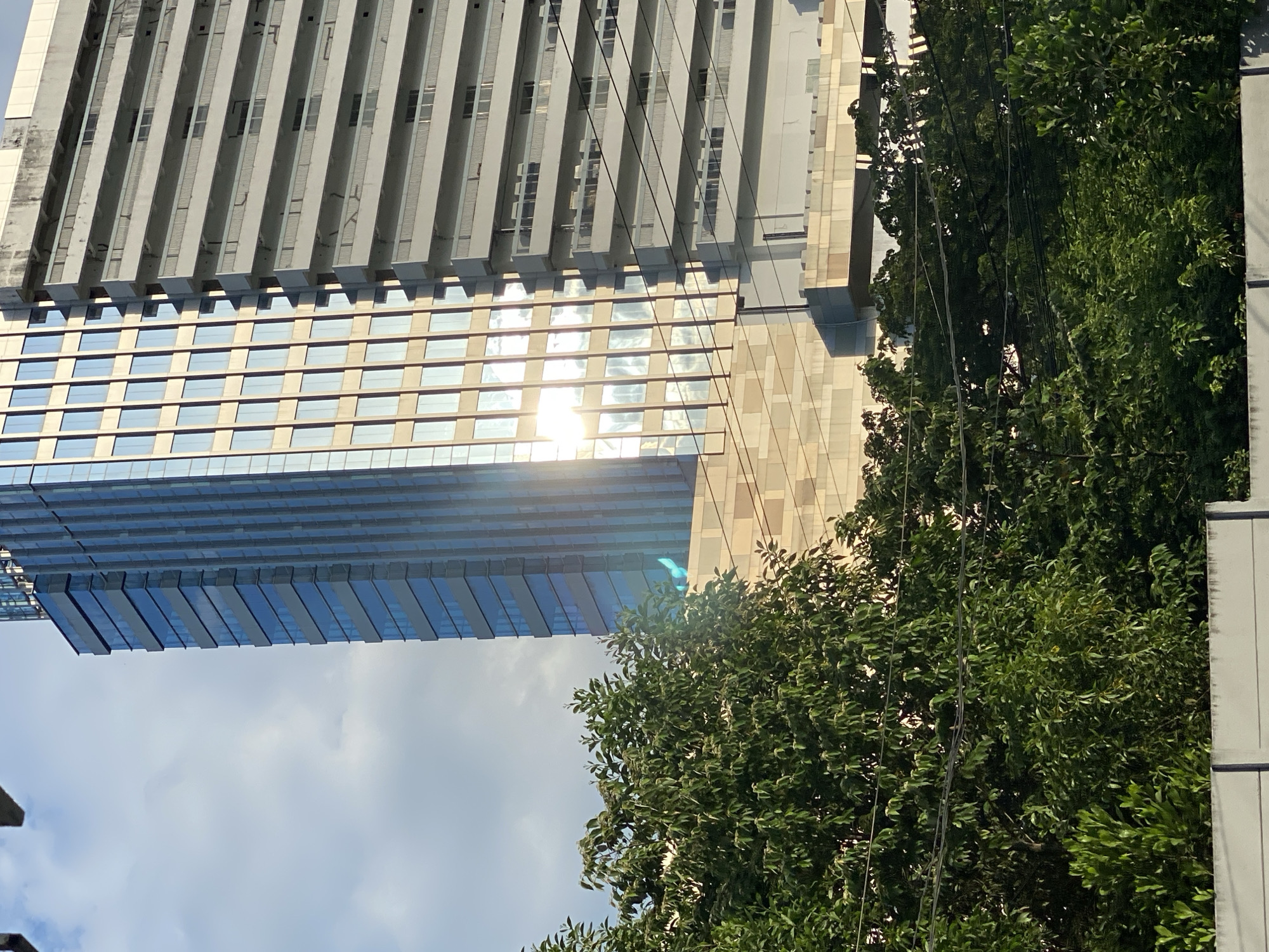 The image shows a modern skyscraper with a glass facade reflecting the sunlight, positioned next to an older, concrete building with balconies. In the foreground, lush green trees partially obscure the view of the buildings. Overhead power lines are visible crisscrossing in front of the trees. The sky is partly cloudy. The location is identified as Gambut Barat, Indonesia.