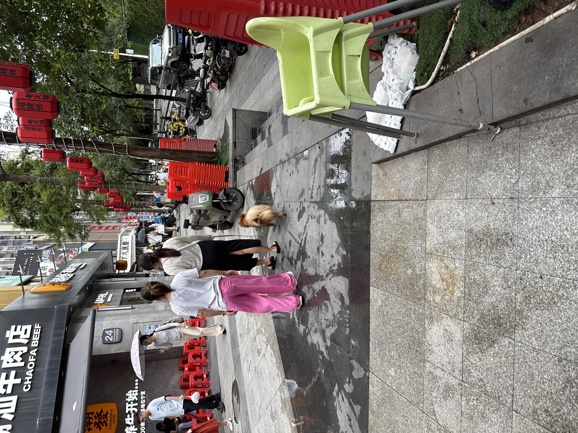 The image shows a street scene in Haizhu District, China, with a focus on a sidewalk area. In the foreground, two women are walking away from the camera, one wearing bright pink pants and the other a dark skirt. A small, light-brown dog walks behind them on the wet pavement. To the right, a bright green high chair is placed on the sidewalk, with stacks of red chairs and other items behind it. A silver SUV is parked on the street in the background, along with several motorcycles and scooters. Red lanterns are strung across a street pole in the middle ground. The storefront of "CHAOFAN BEEF" is visible on the left, with red stools set up outside. The ground is wet, suggesting recent rain or cleaning.