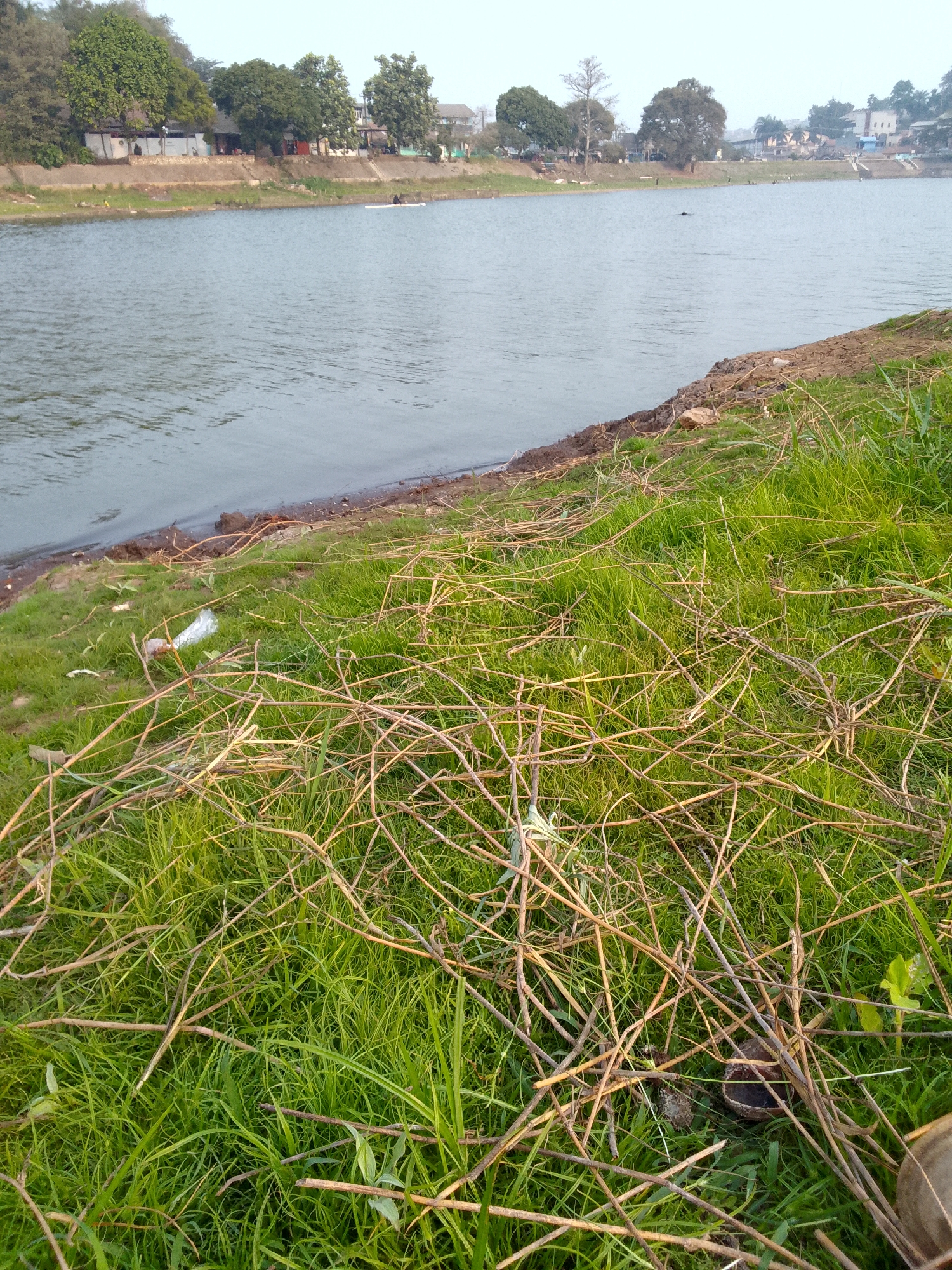 A still, wide-angle shot captures a body of water with a grassy embankment in the foreground. The embankment is covered in lush green grass and scattered with dry twigs and branches. The water is calm and reflects the overcast sky. Across the water, a treelined shore is visible with several buildings nestled amongst the trees. In the distance, a single person is seen on the water in a small boat. The overall scene is serene and natural.